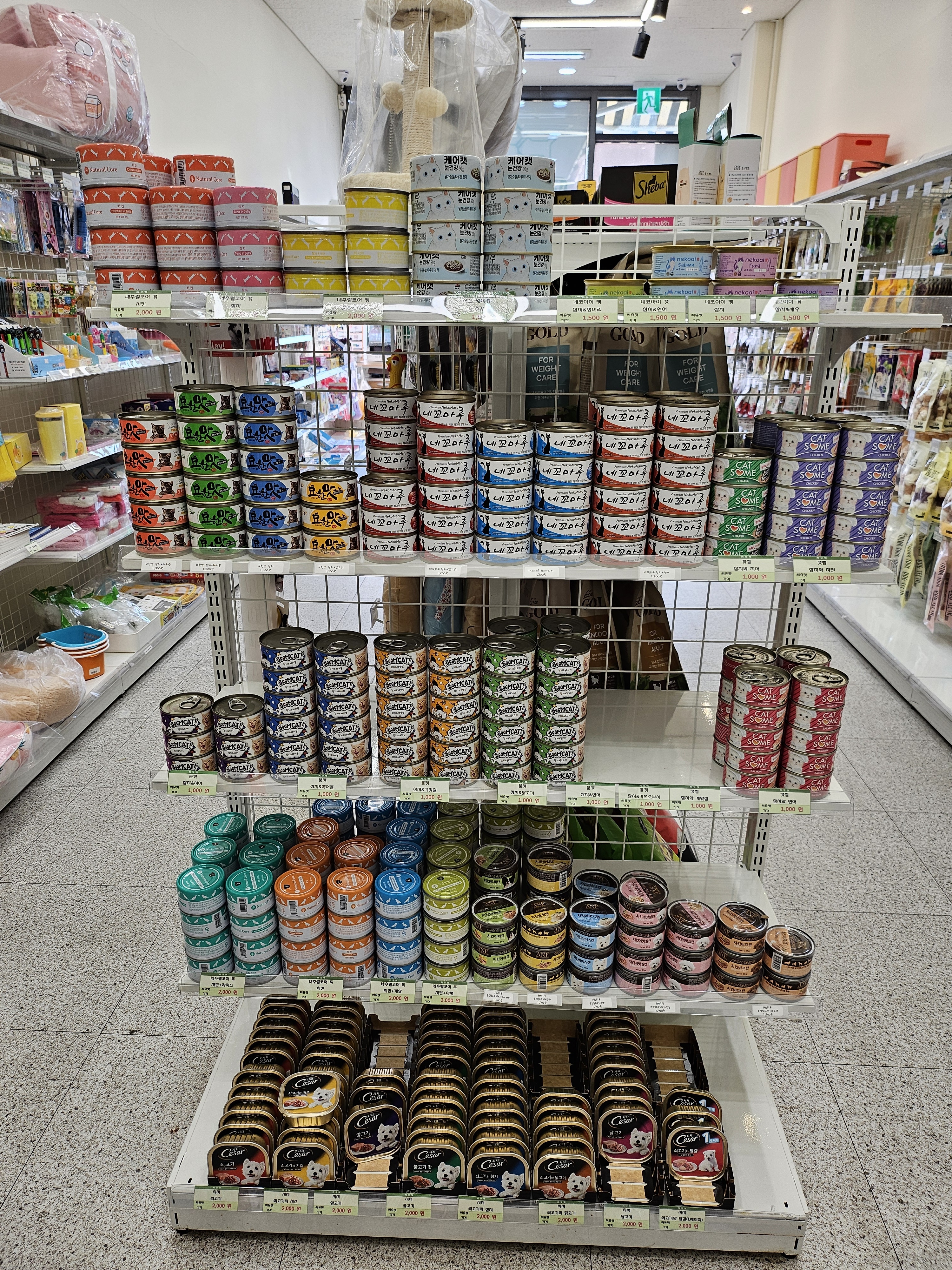 씨유펫 연수 센트럴점