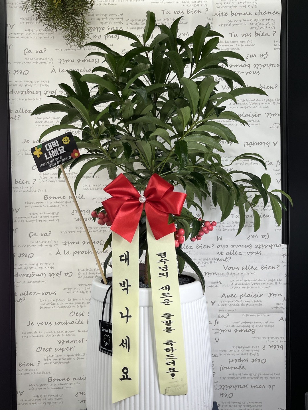 늘사랑화원