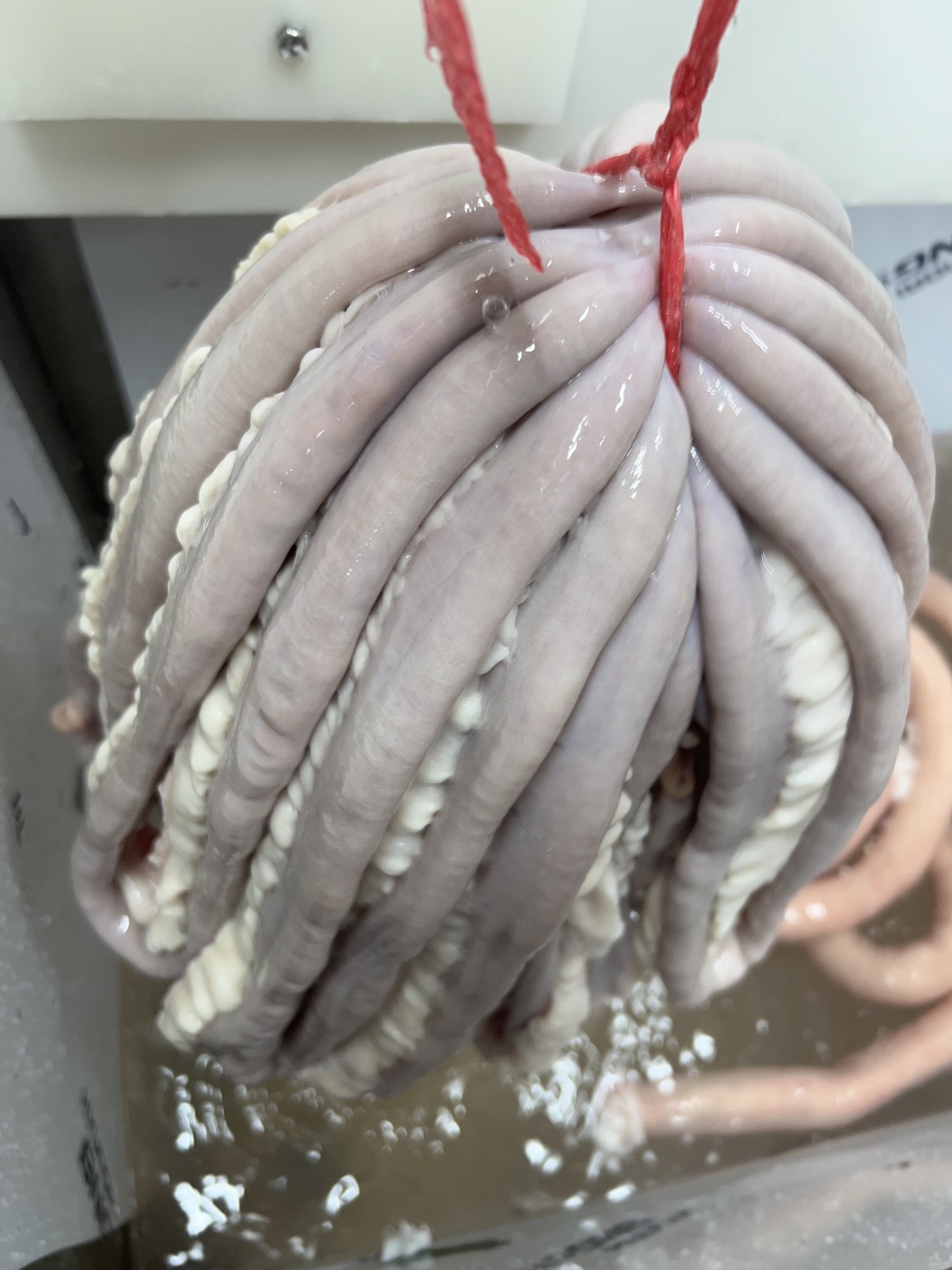 두레유통
