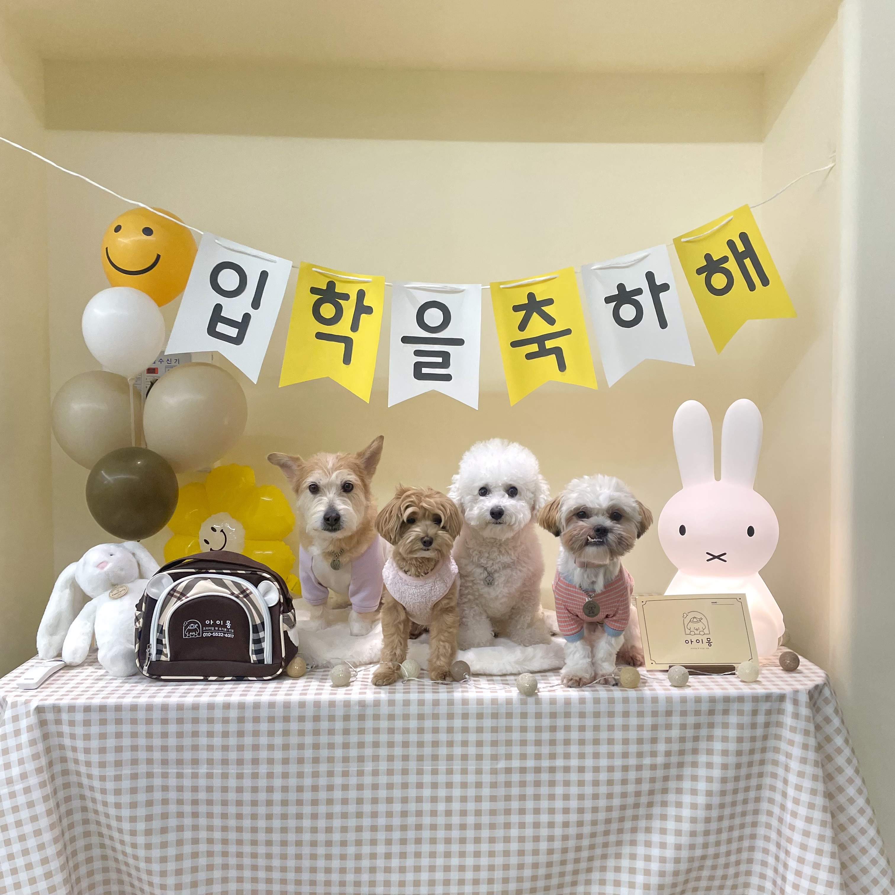 아이몽 애견 유치원 대표 이미지