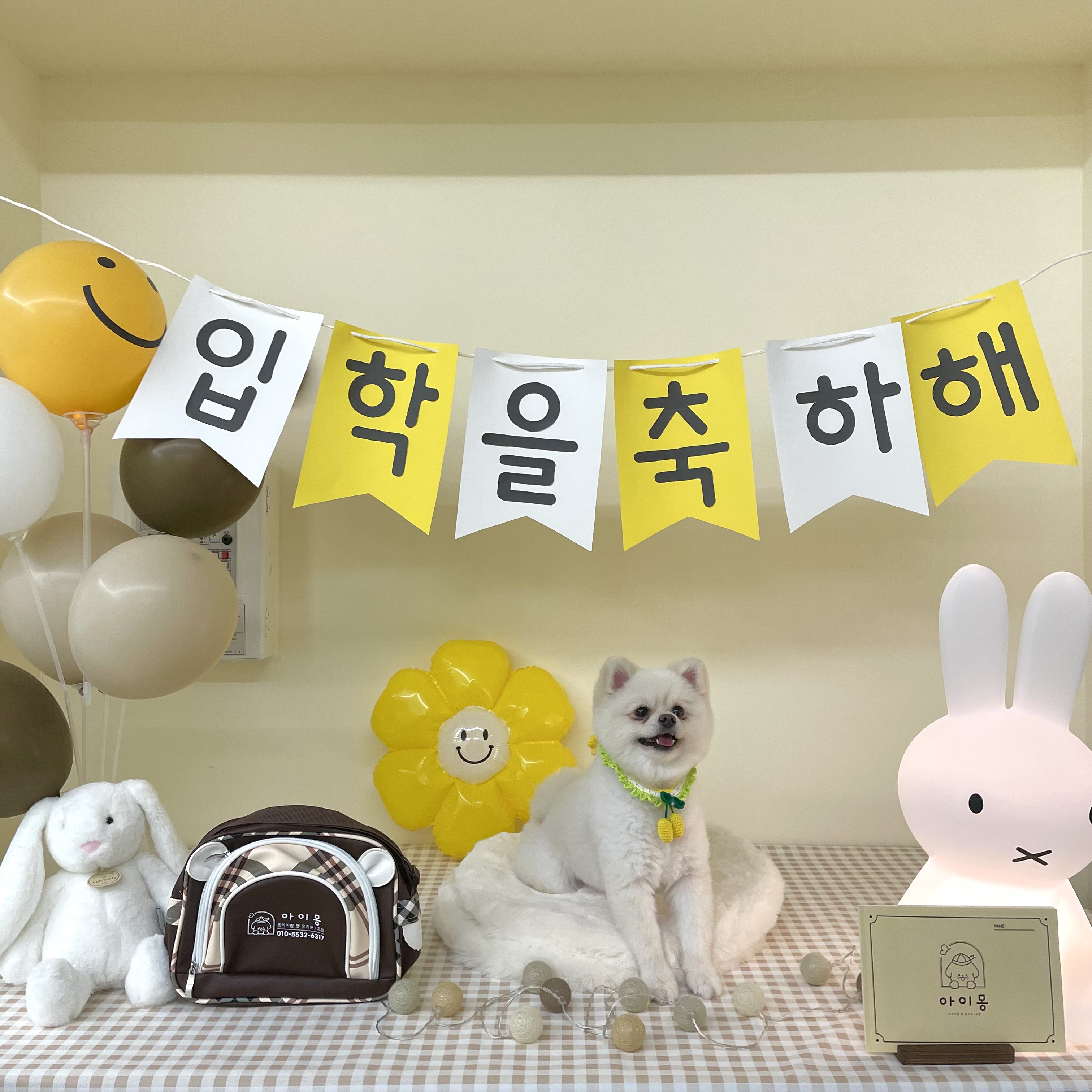 아이몽 애견 유치원 대표 이미지