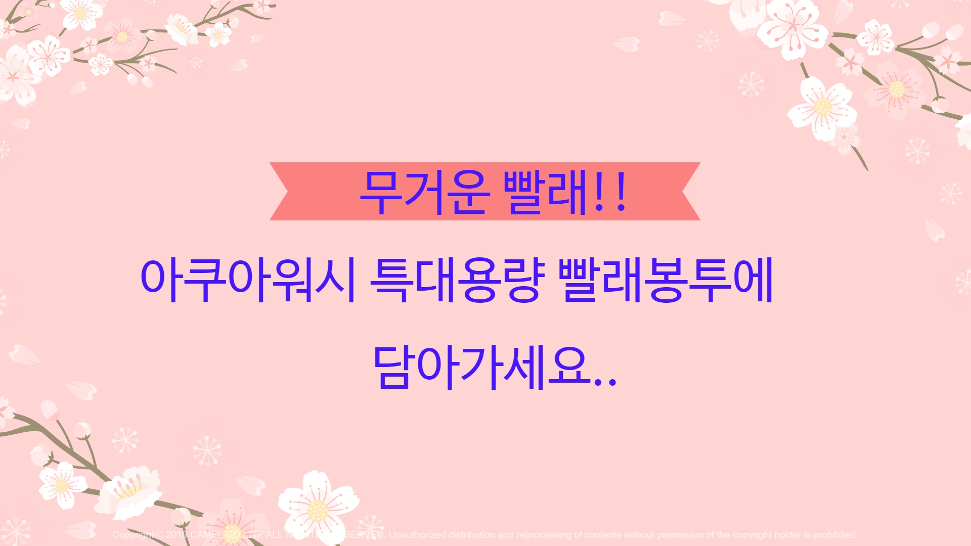 아쿠아워시 지축점