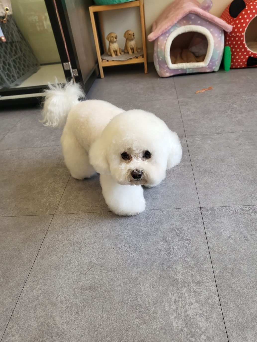 까망이 대표 이미지