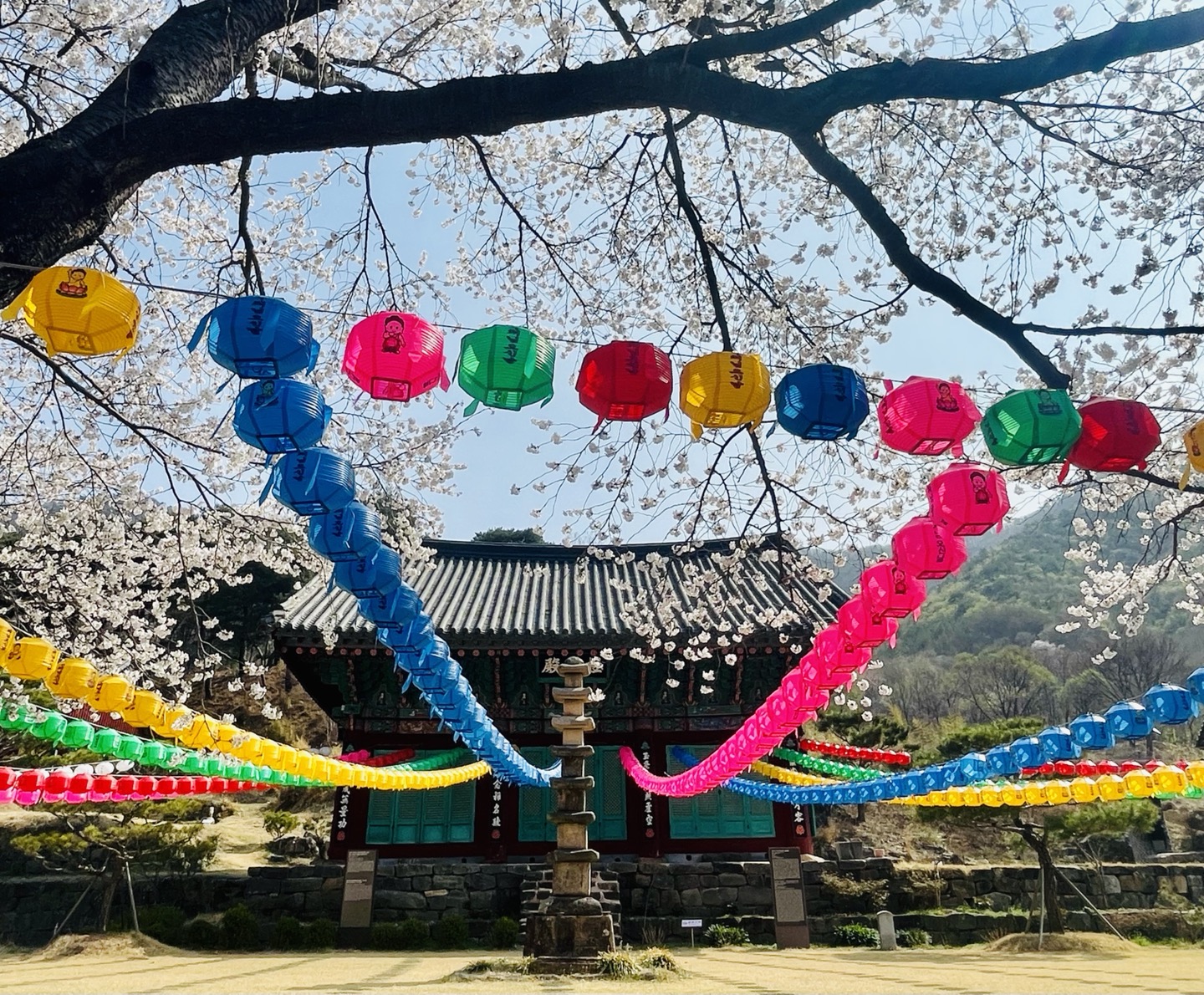 신안사