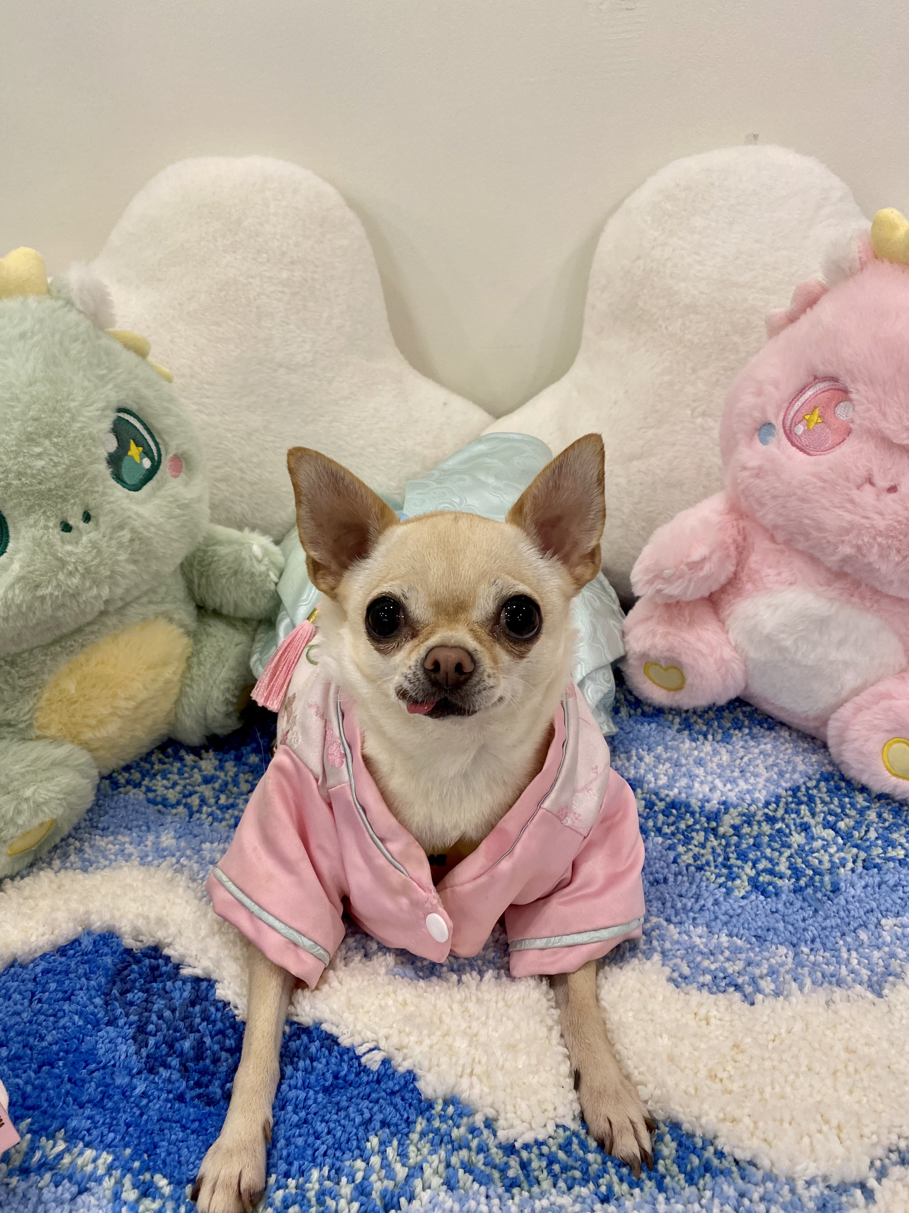 멍플레이 대표 이미지