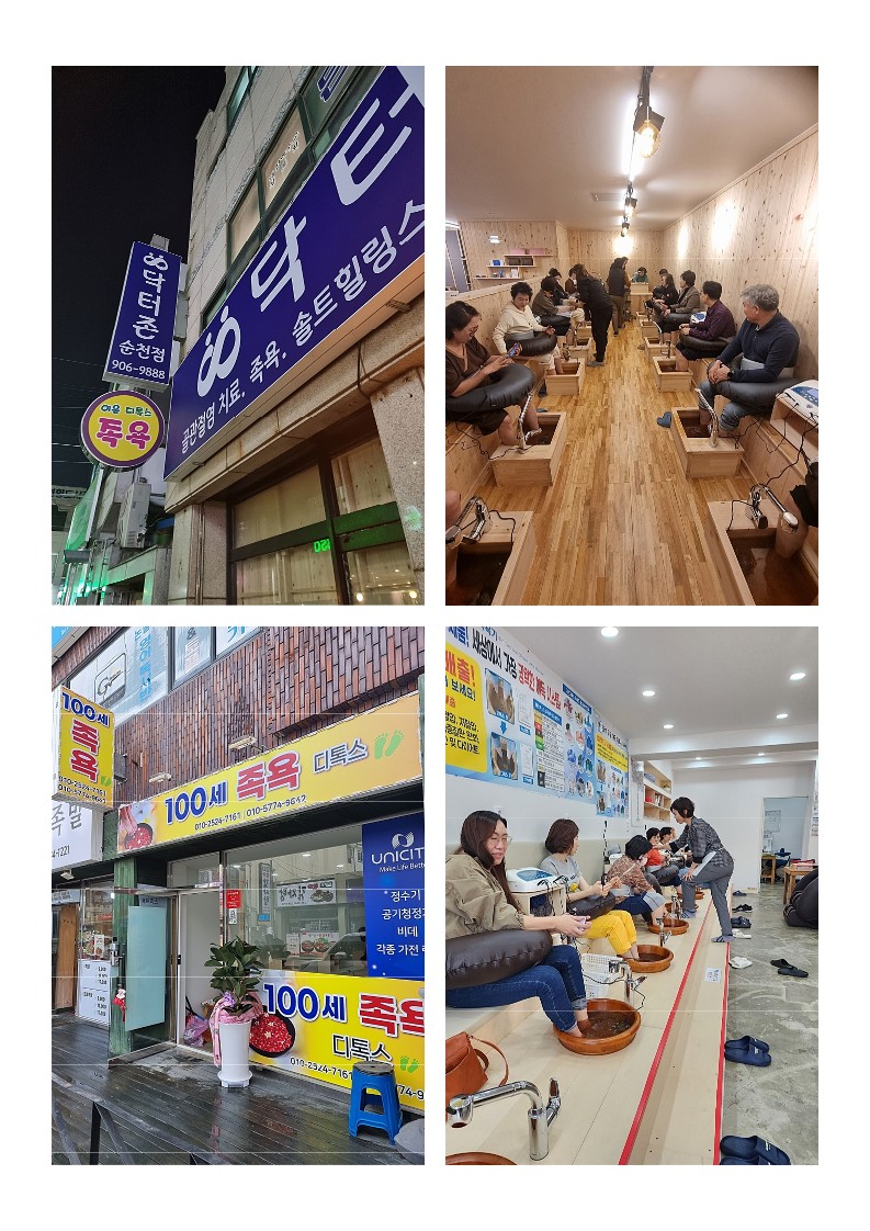 세원DNS