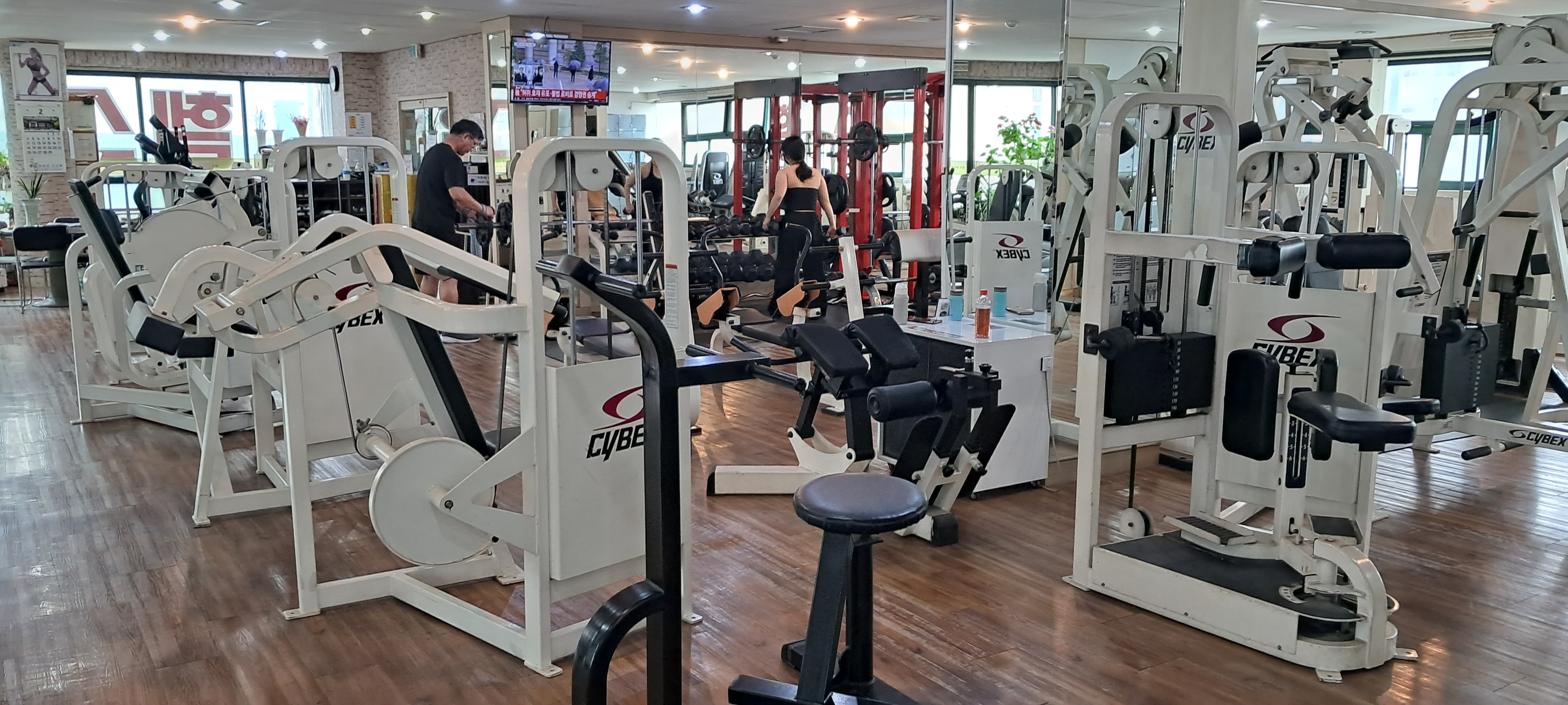 대성헬스크럽