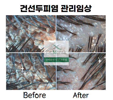 닥터모락 안산고잔점 대표 이미지