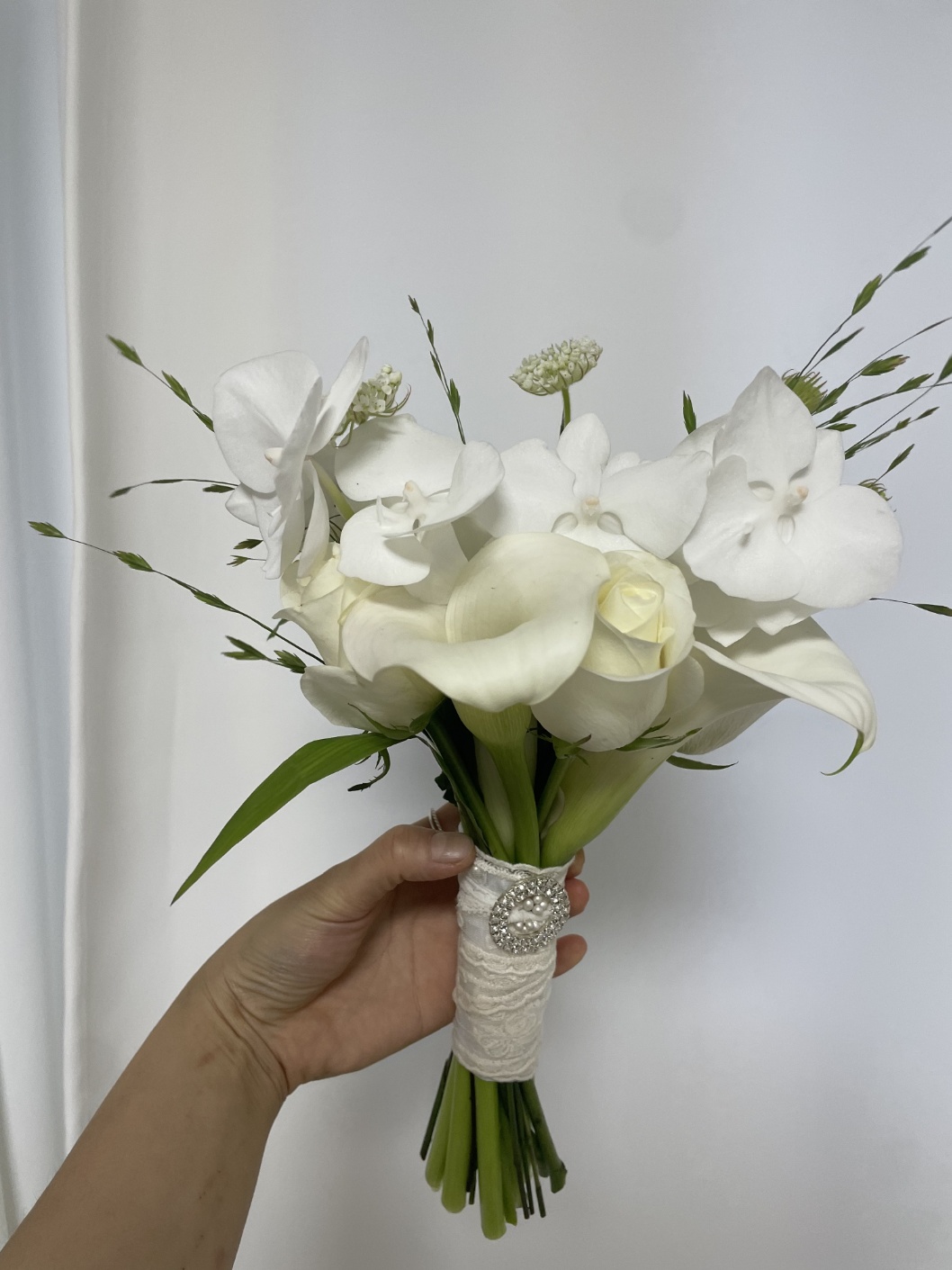 꽃다지 화원