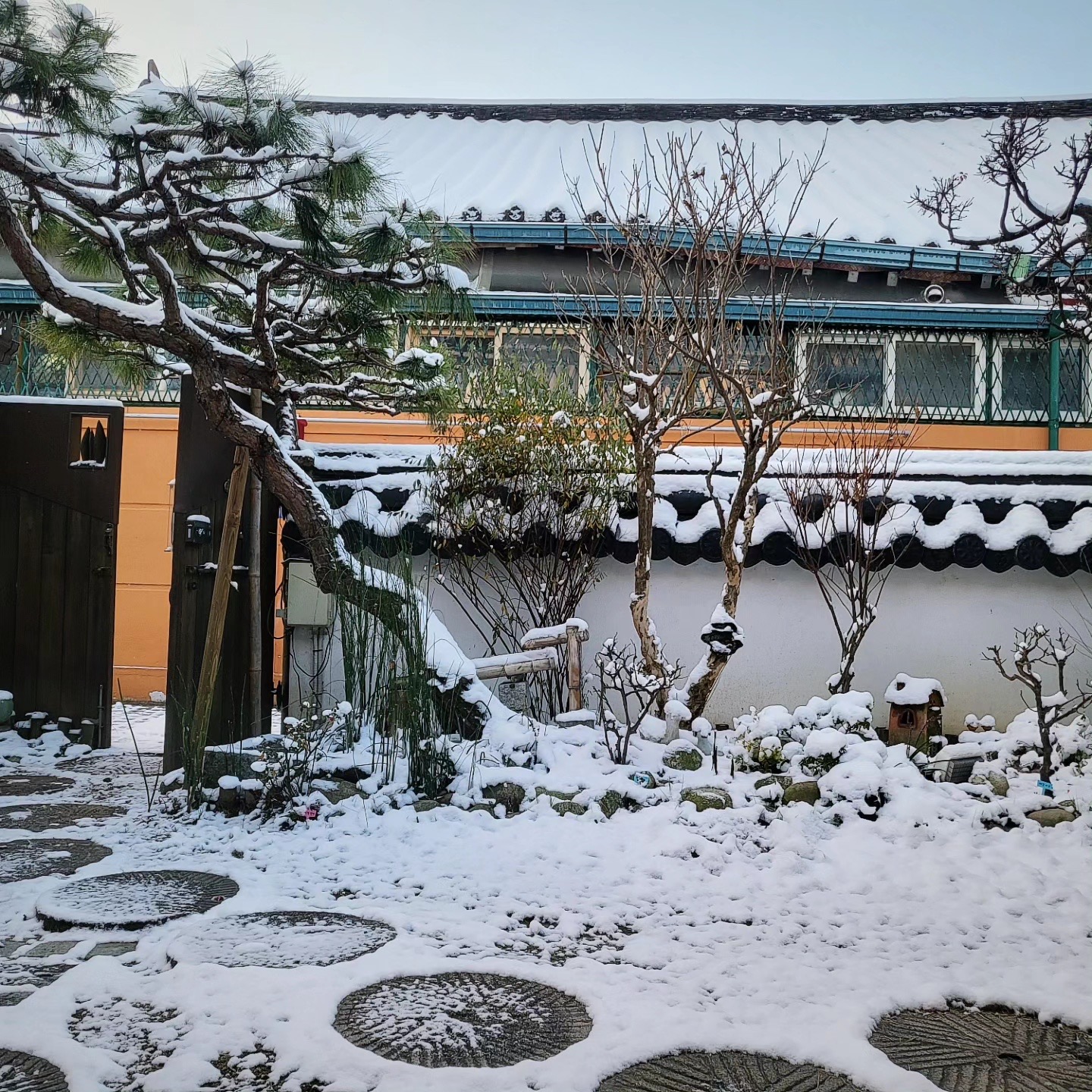 푸른요람