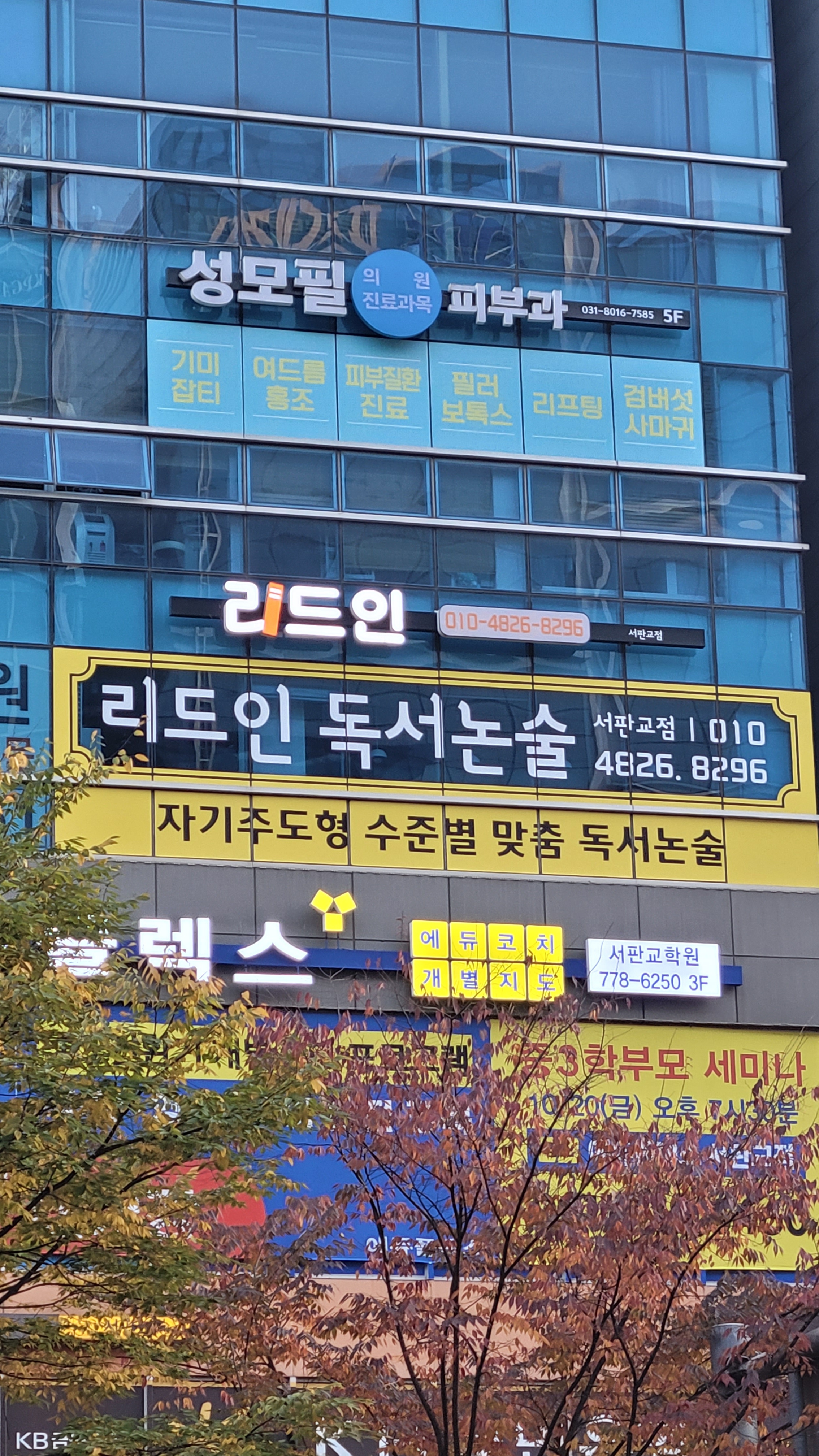 리드인 독서논술 서판교점