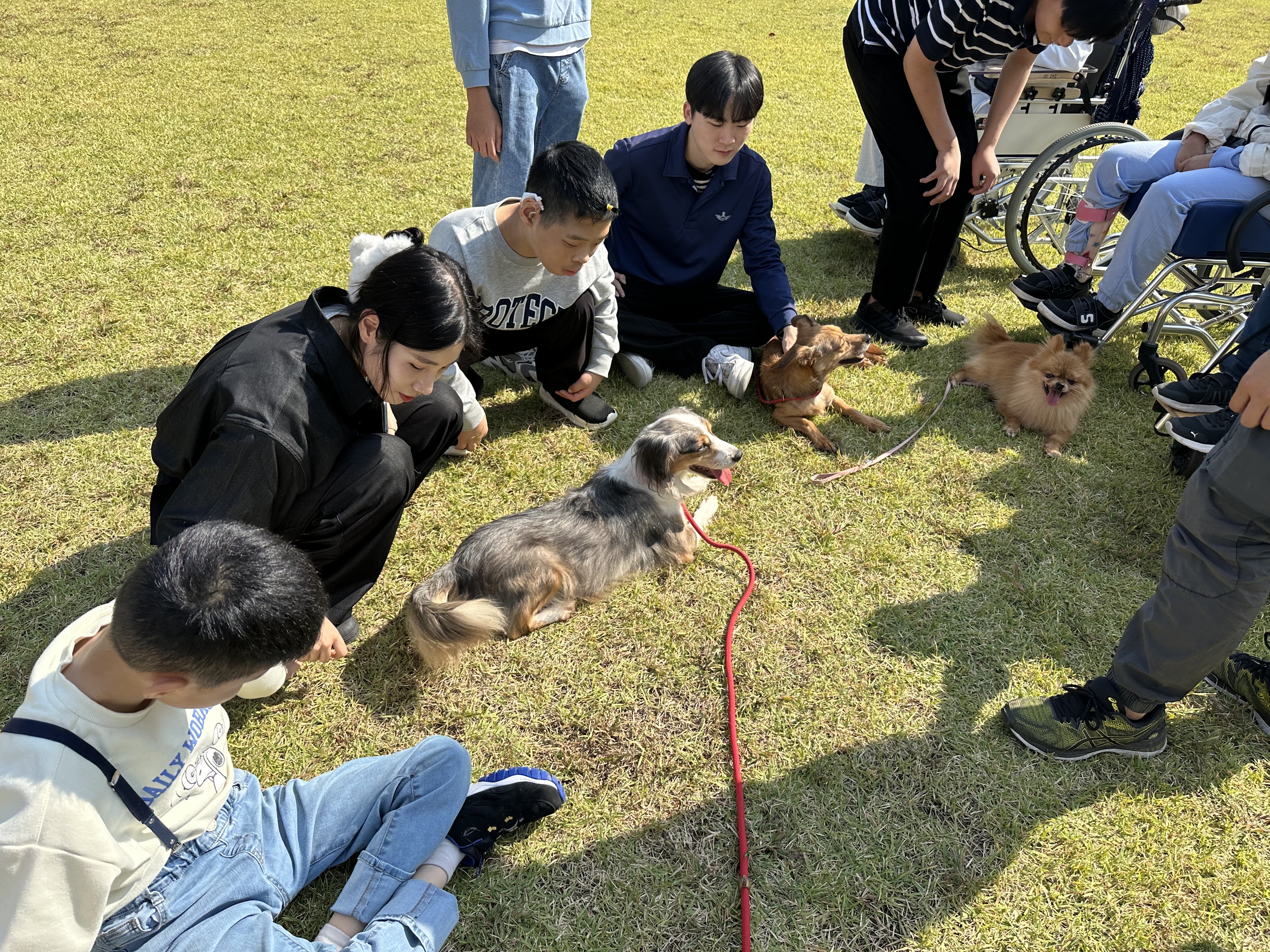 도그몬드 양평지점 반려동물 동반 애견카페