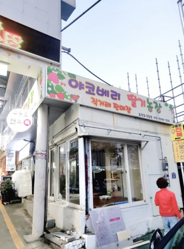 경북 포항시 제과학원추천 제과제빵 제과제빵자격증 베이킹학원 제과기능사 야코베리 딸기농장