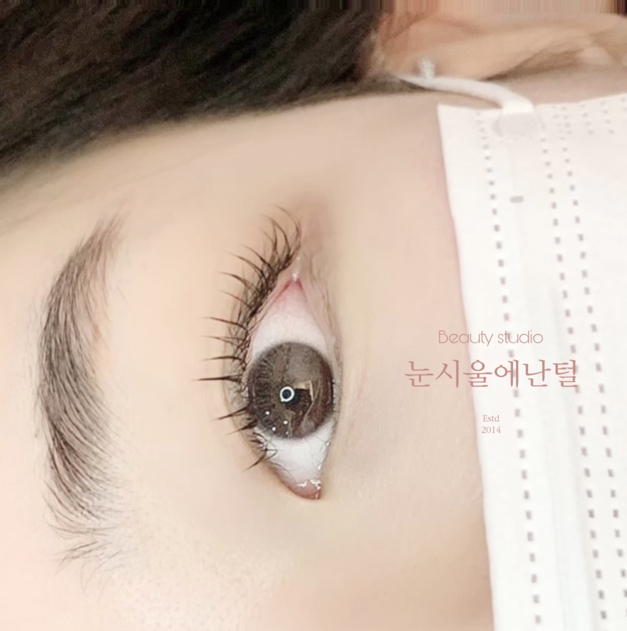 눈시울에난털