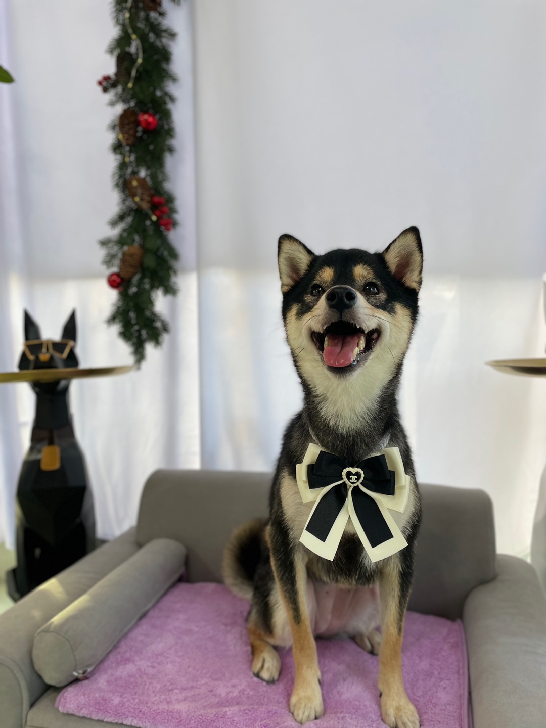 만족하개 대표 이미지