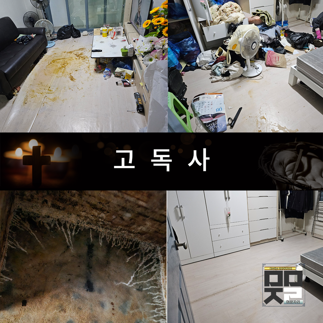 머문자리 분당점 고독사 유품정리 특수청소