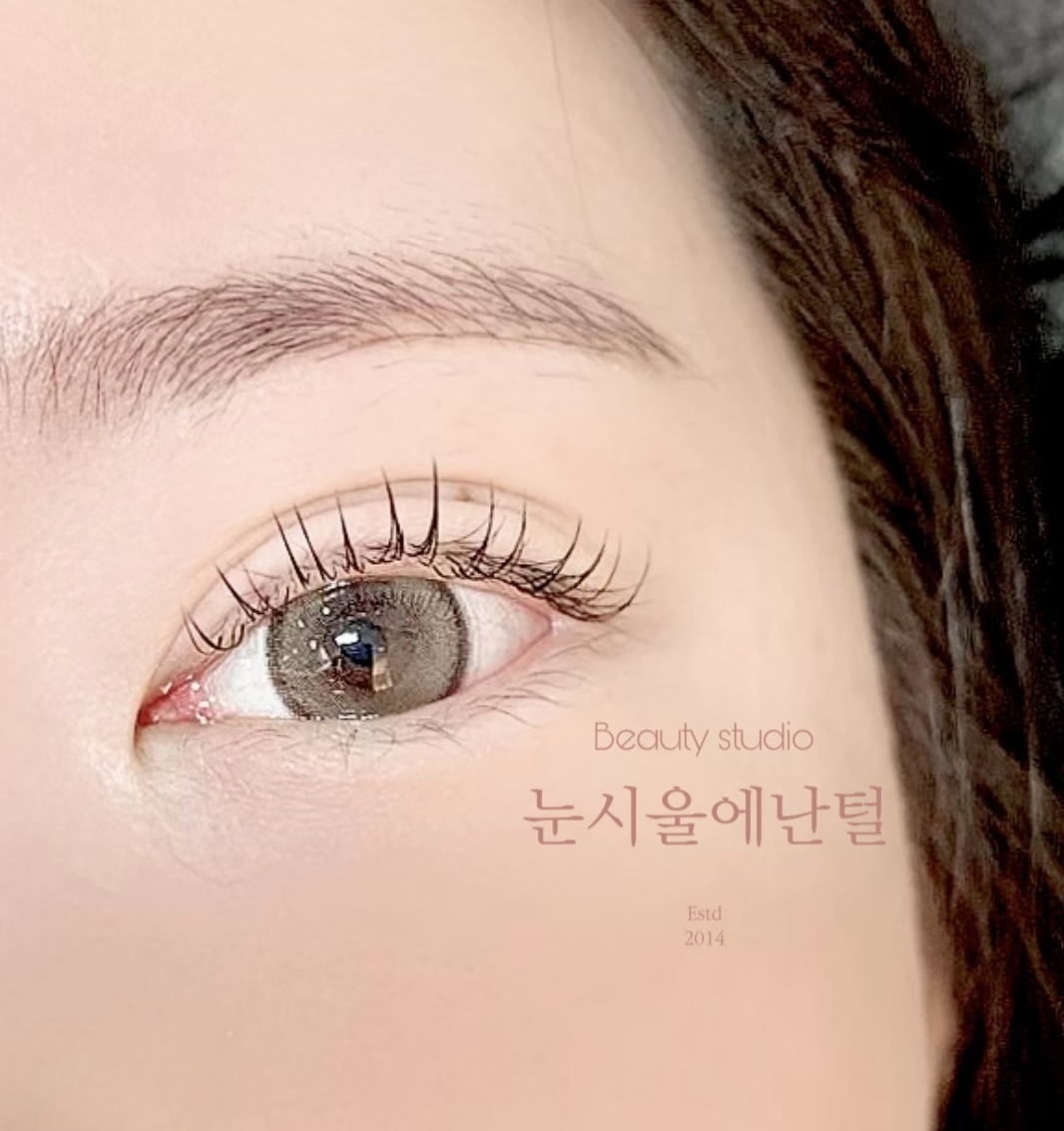 눈시울에난털