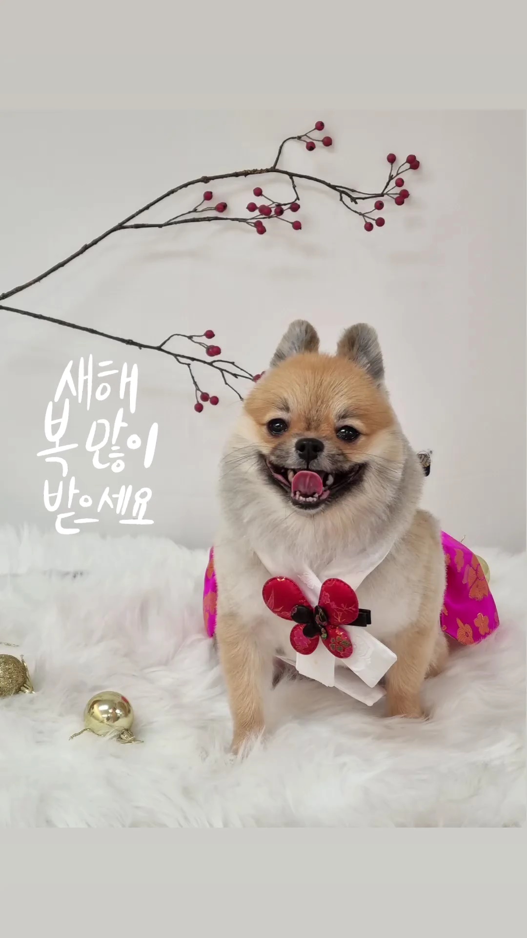 멍블랑 대표 이미지