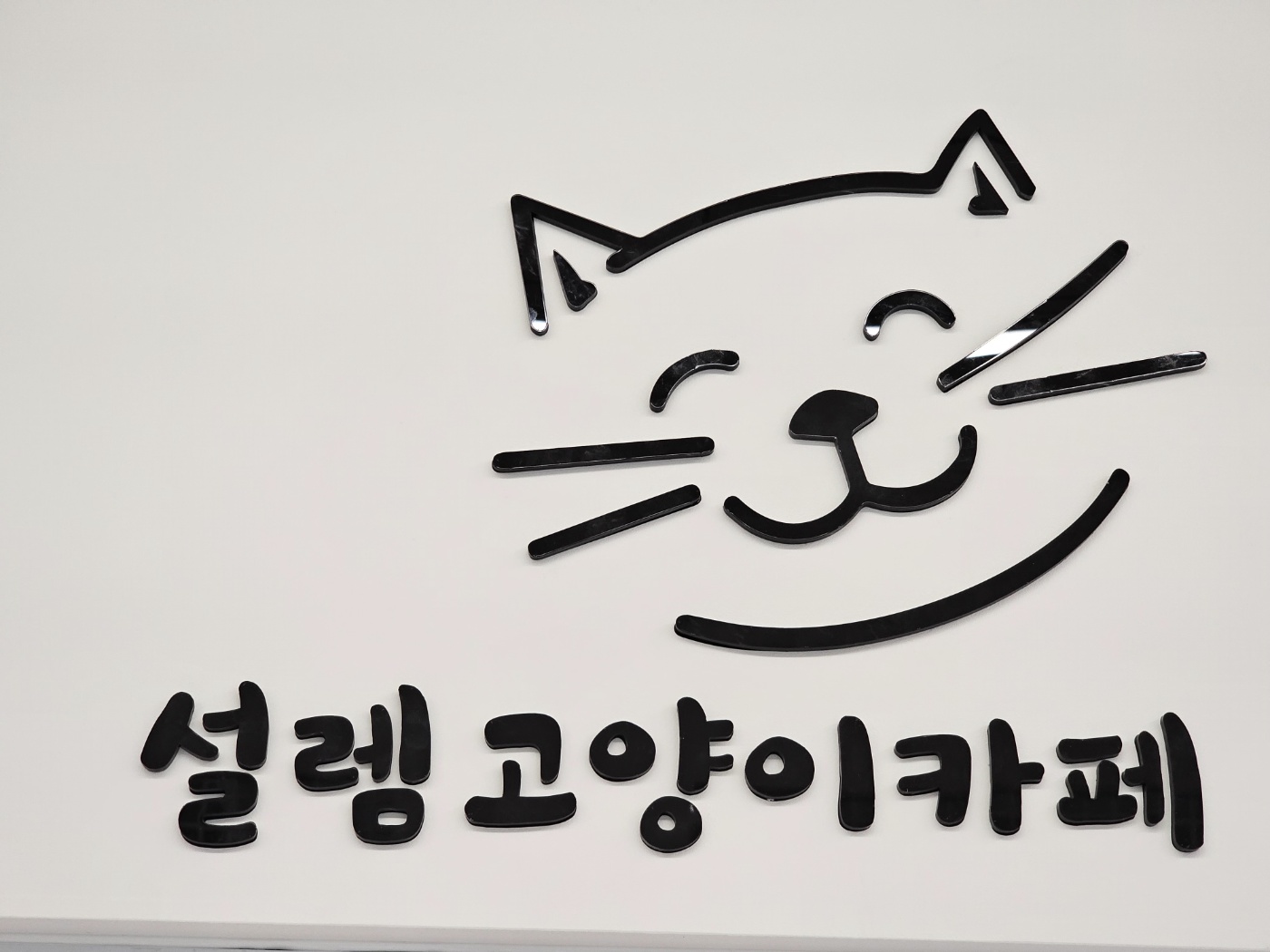 설렘고양이카페