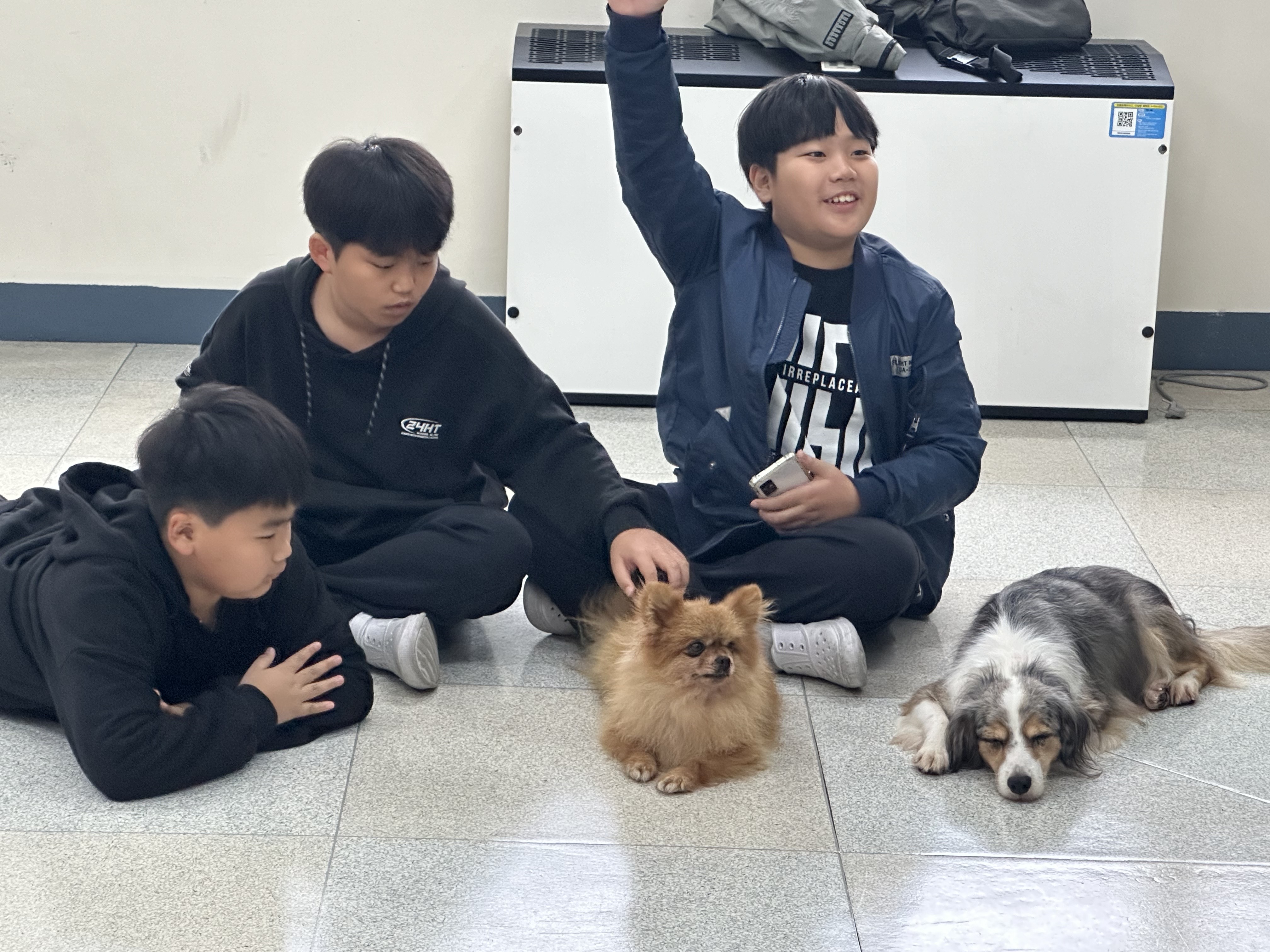 도그몬드 양평지점 2
