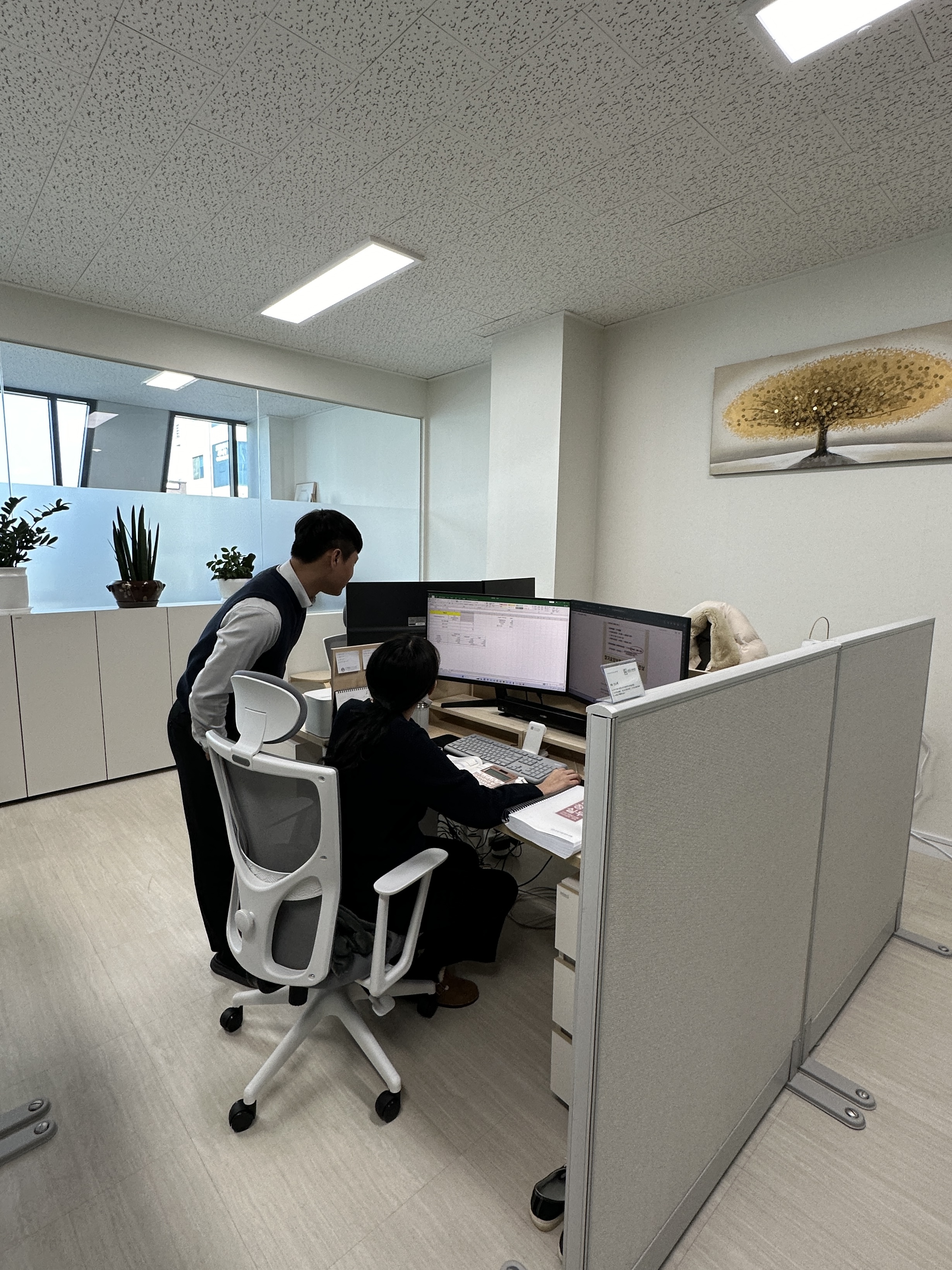 성진 세무회계