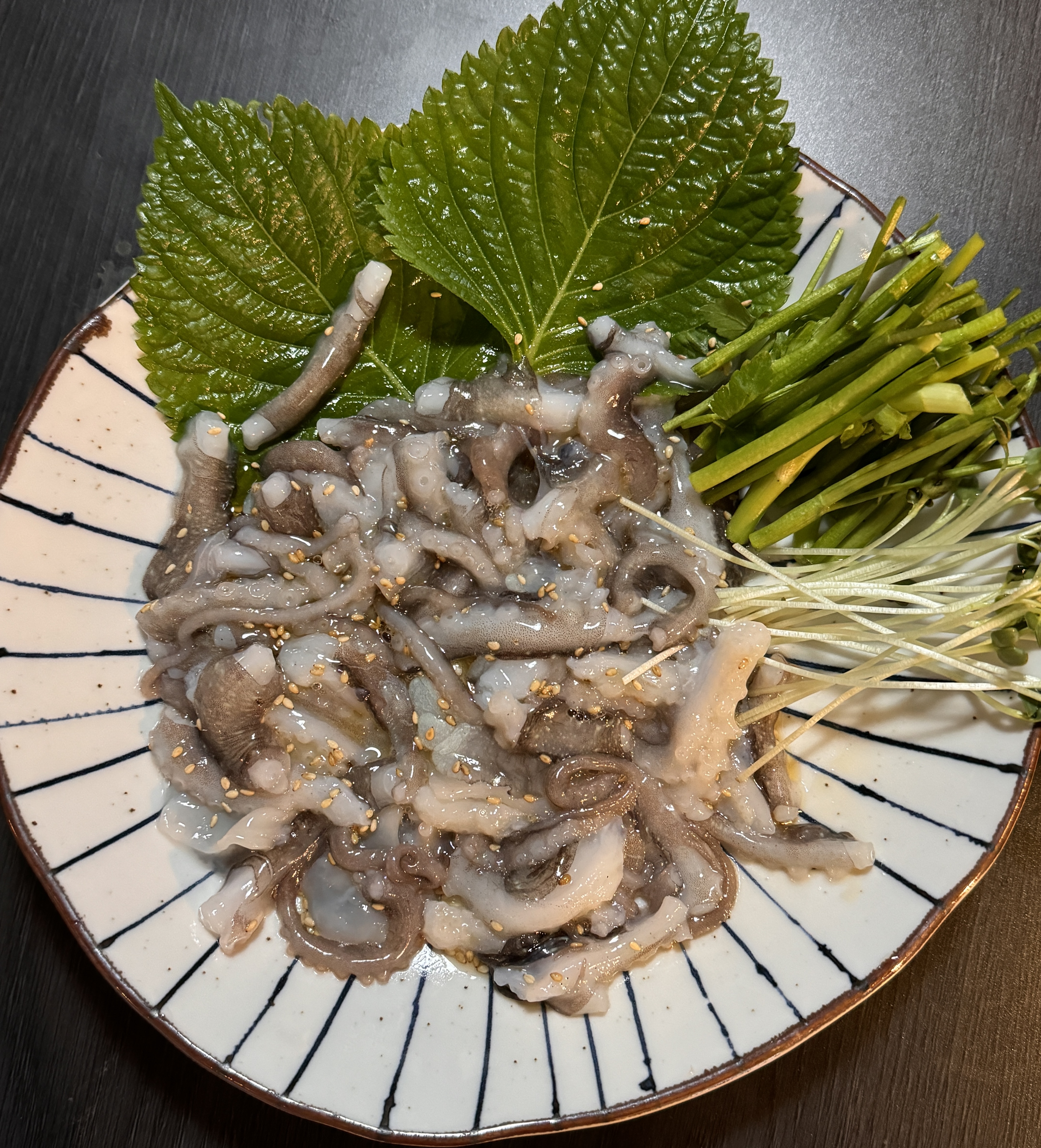 남도바다의하카세