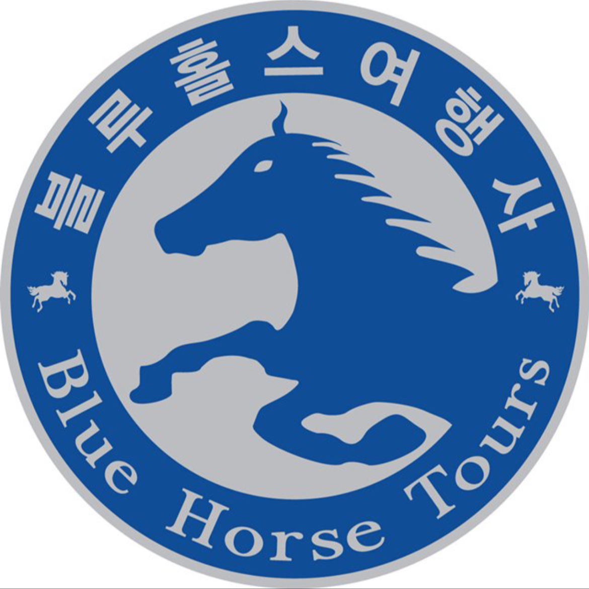 하나투어 블루홀스관광여행사