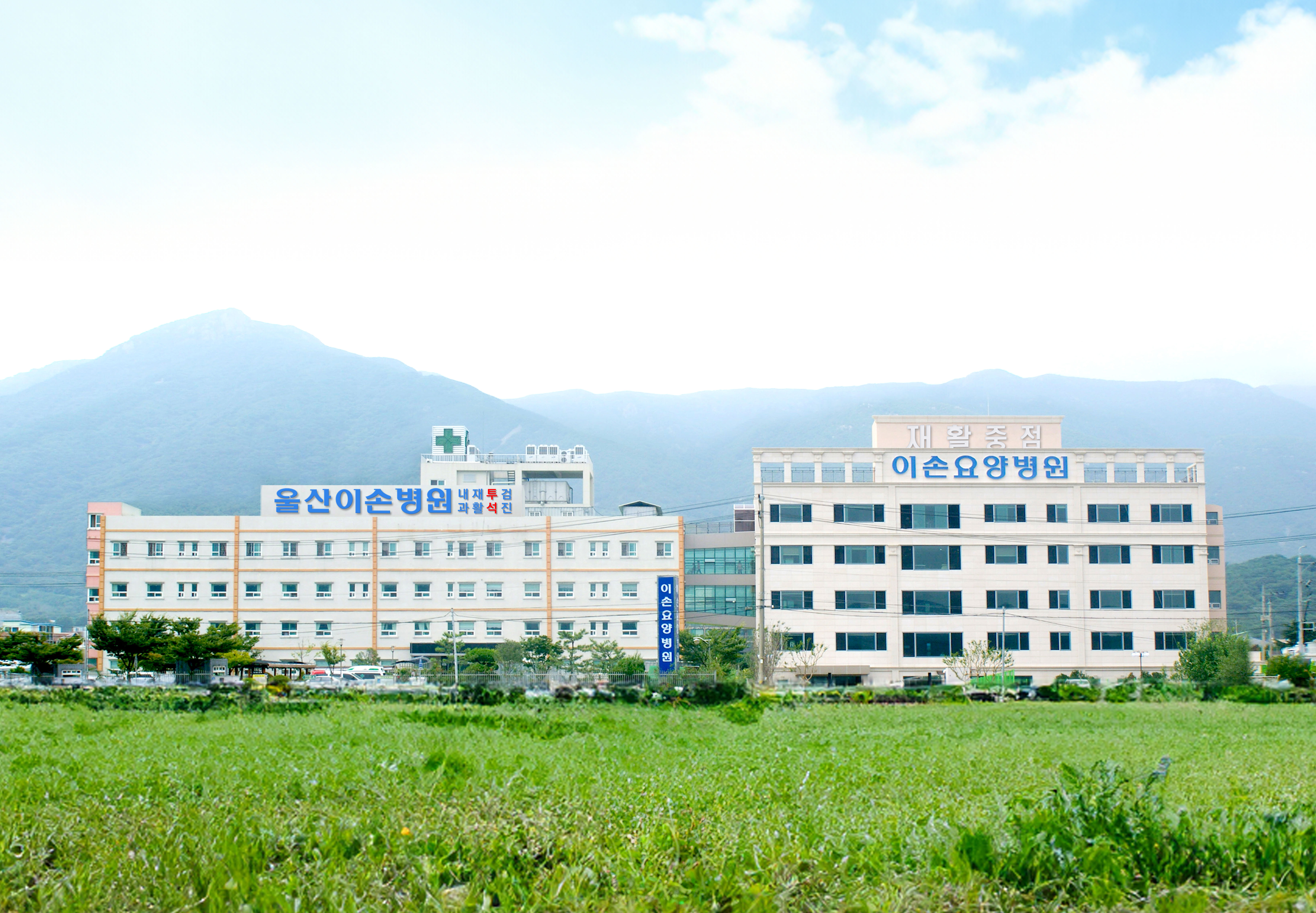 울산이손병원 대표 이미지