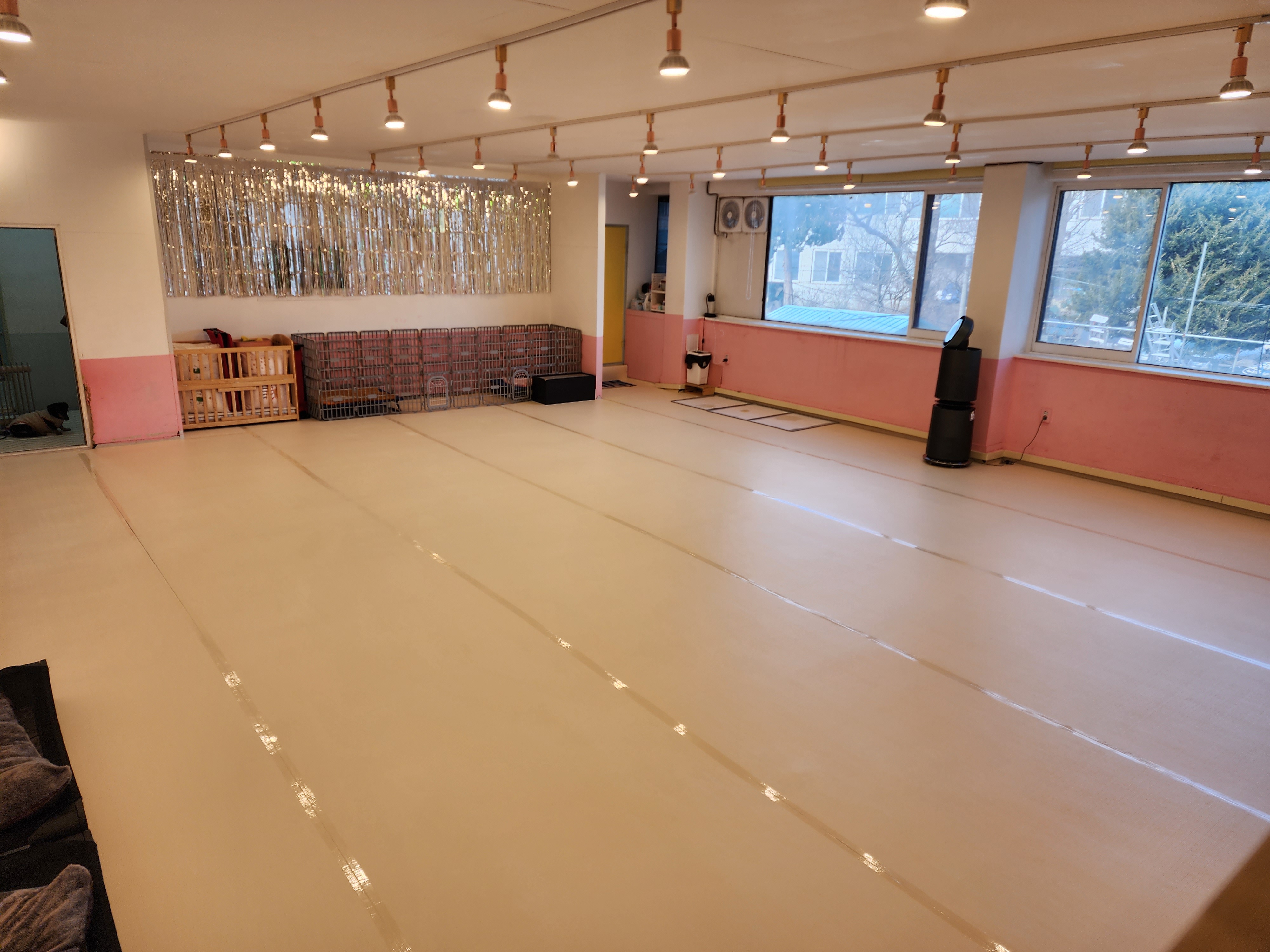 콩콩'짱짱_댕댕이집 대표 이미지