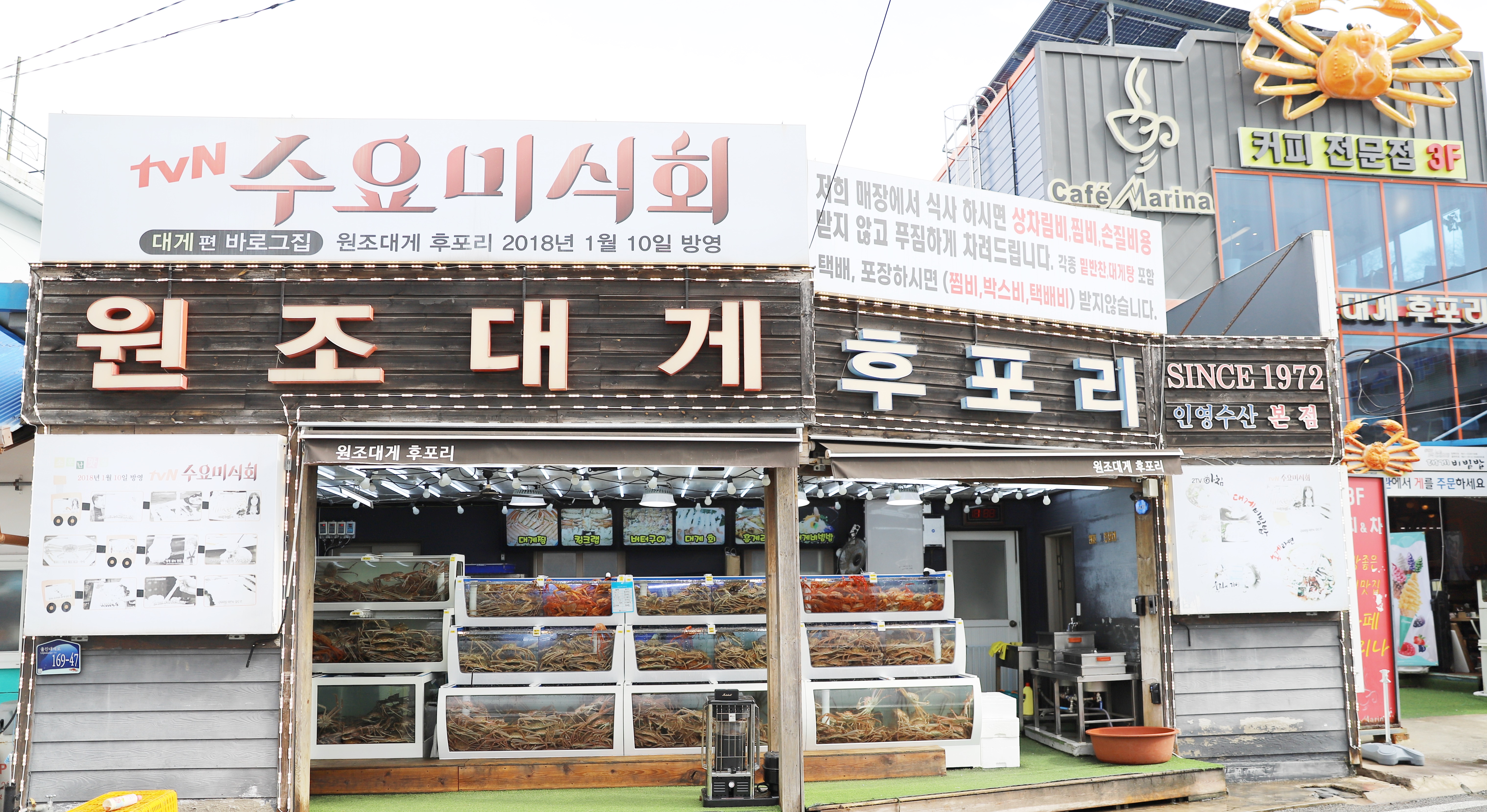 원조대게후포리