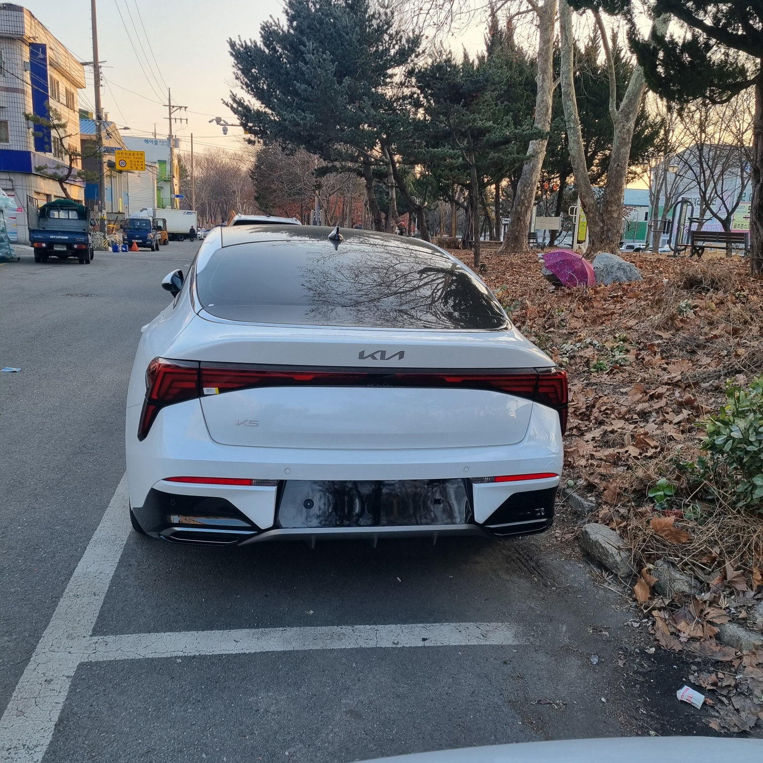 와이드 대표 이미지