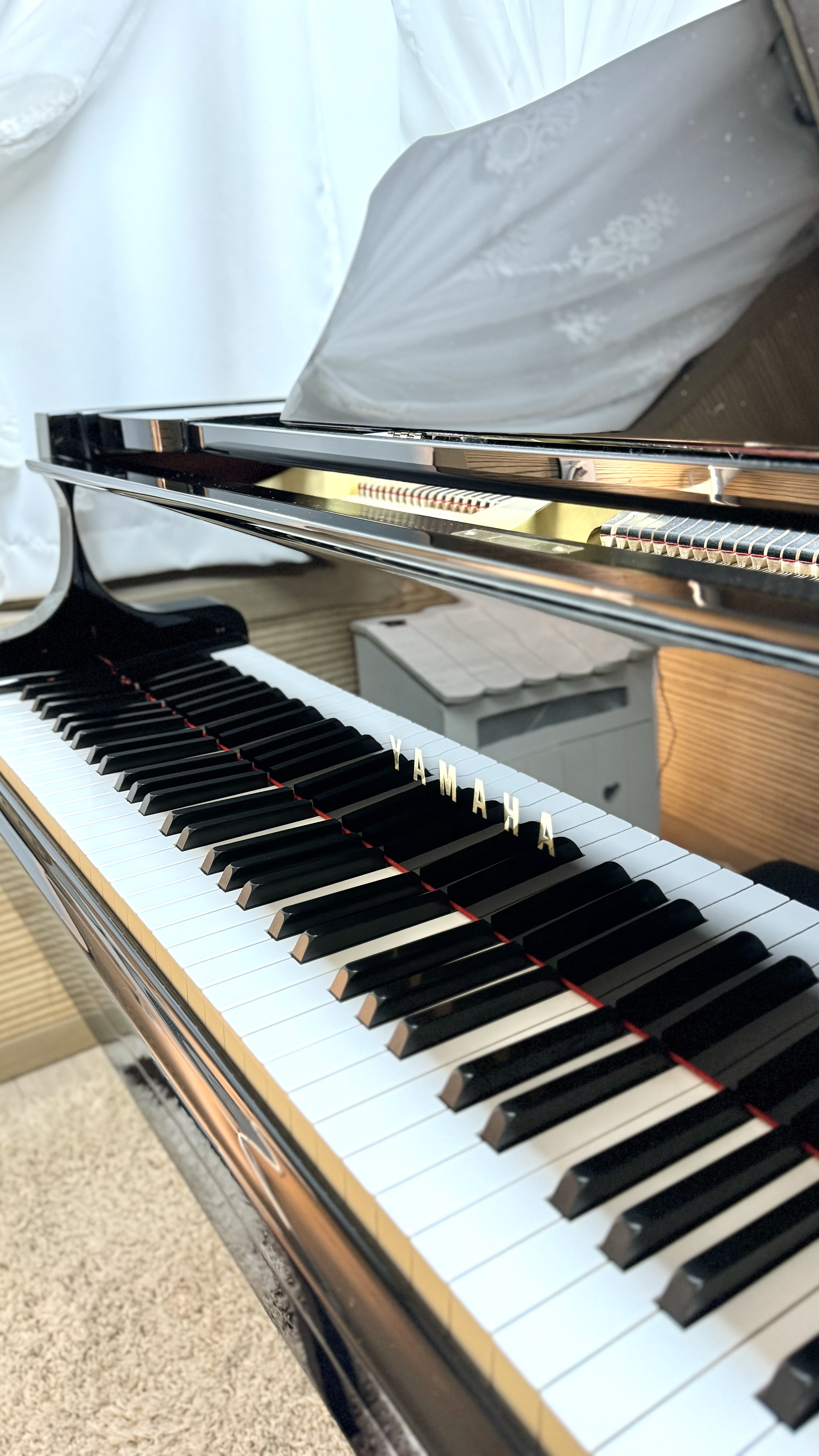 5번째 스튜디오 사진