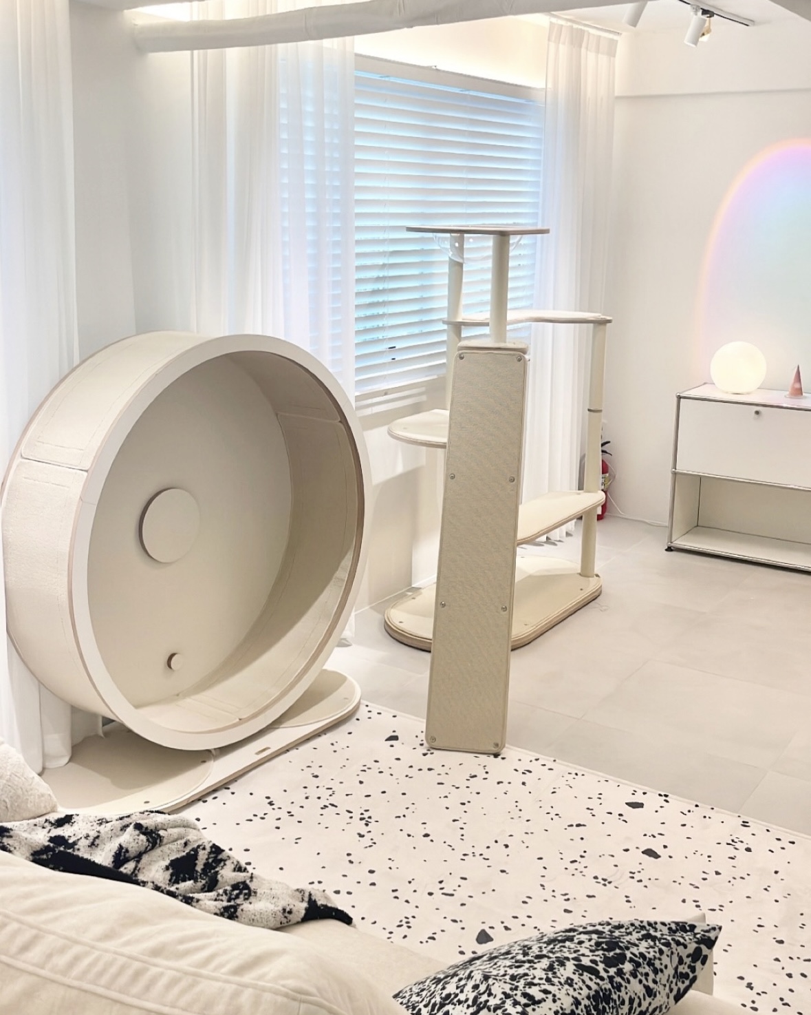 플러피캣 대표 이미지