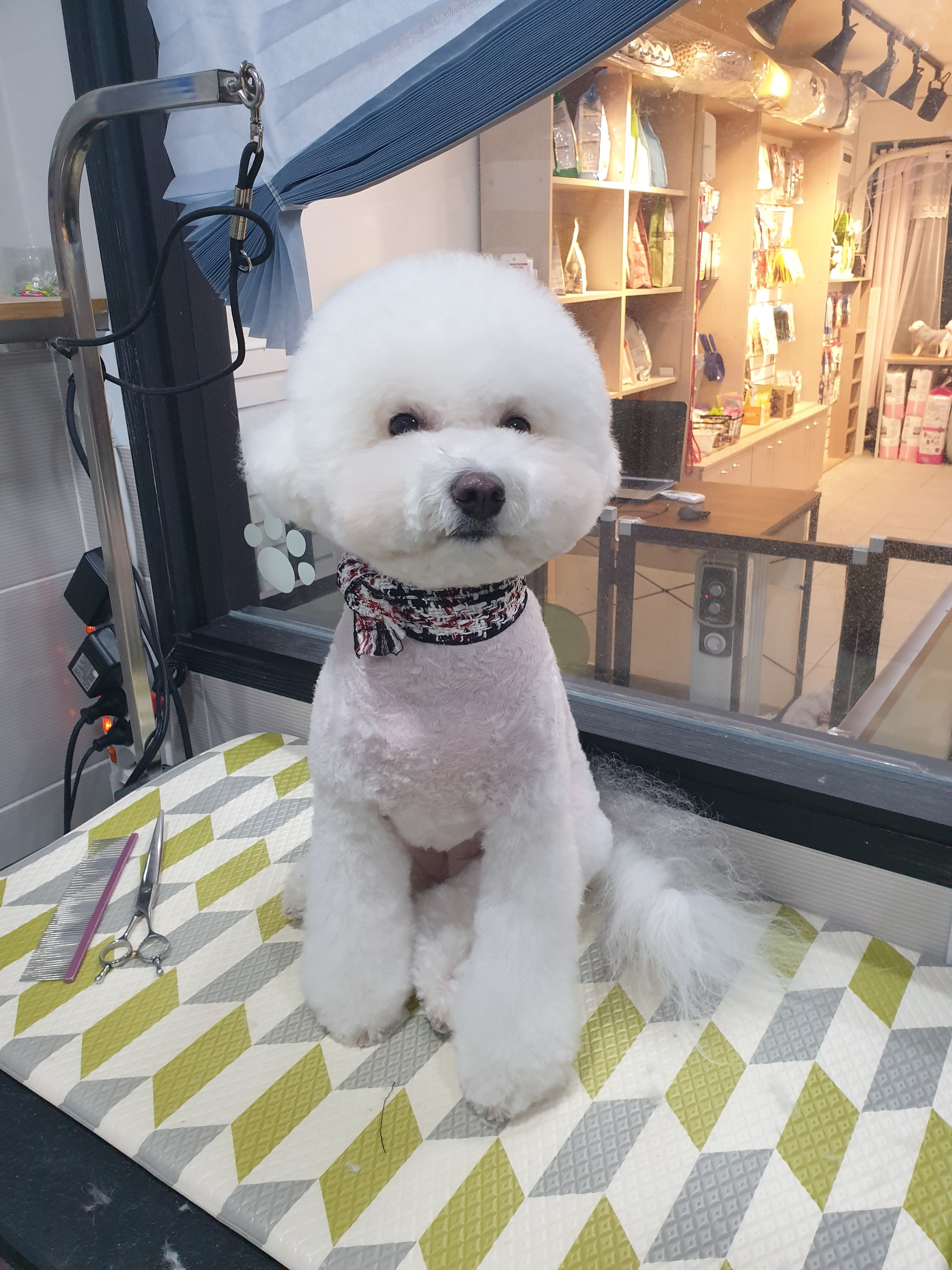 호나펫 대표 이미지