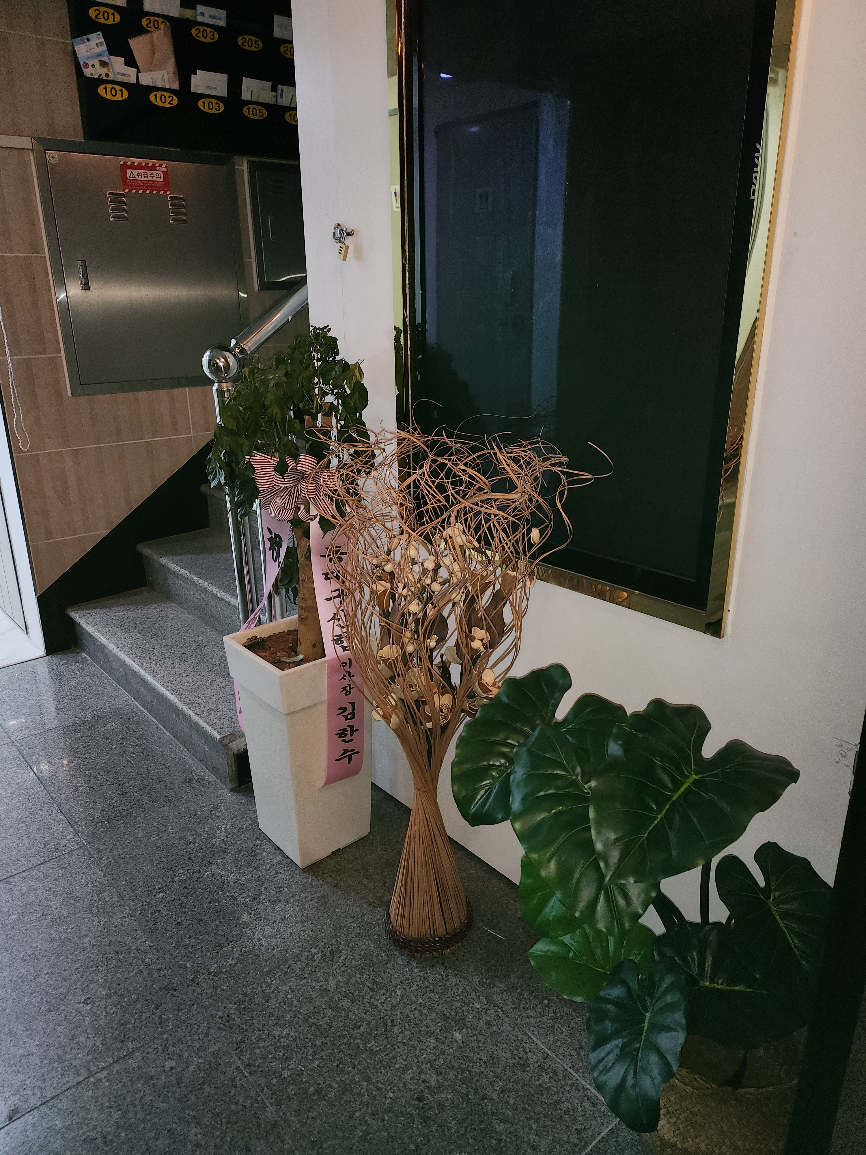 경대샐러브 대표 이미지