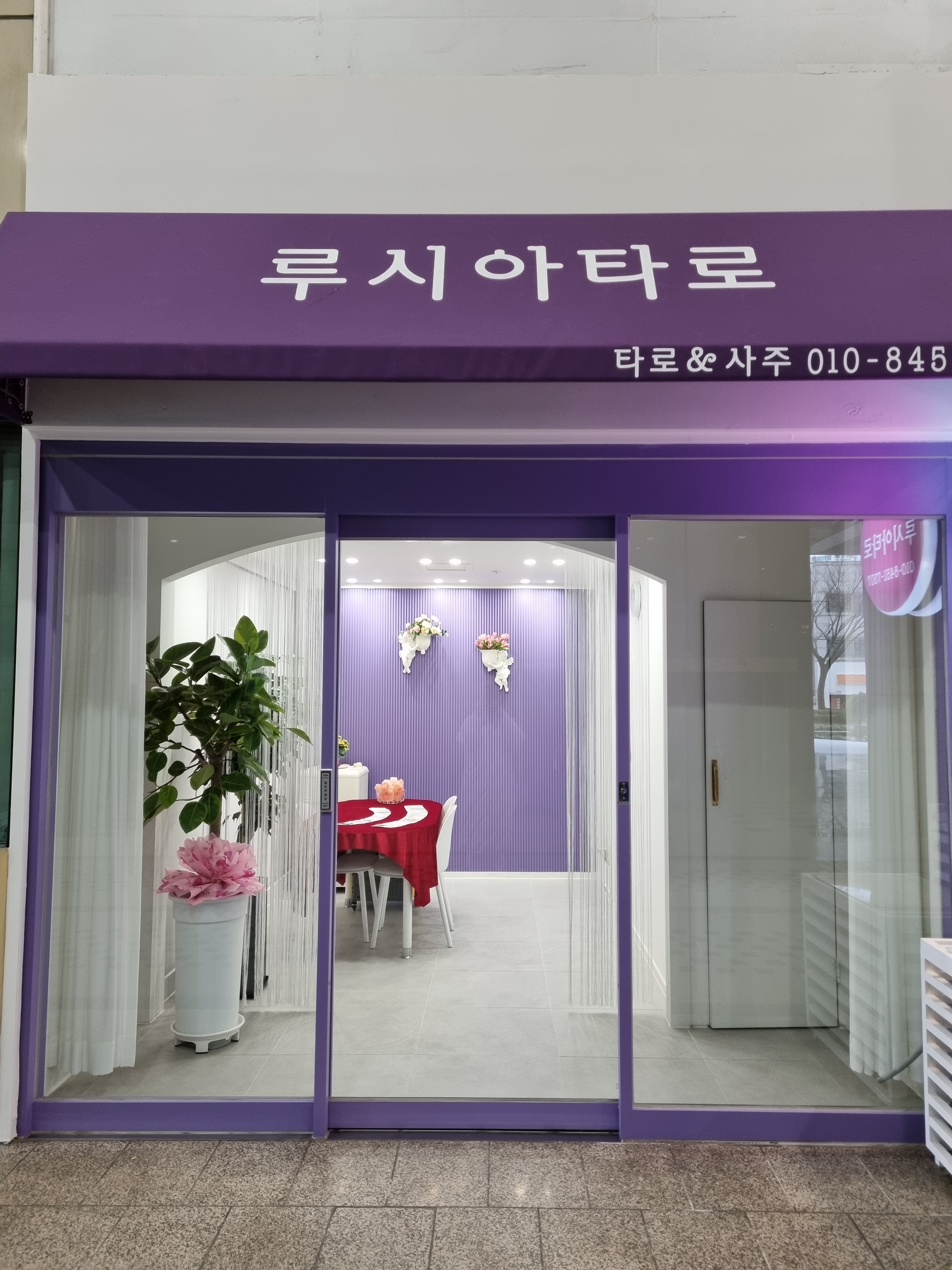 루시아 타로