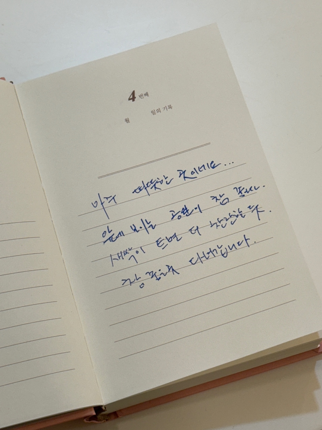 앤카페