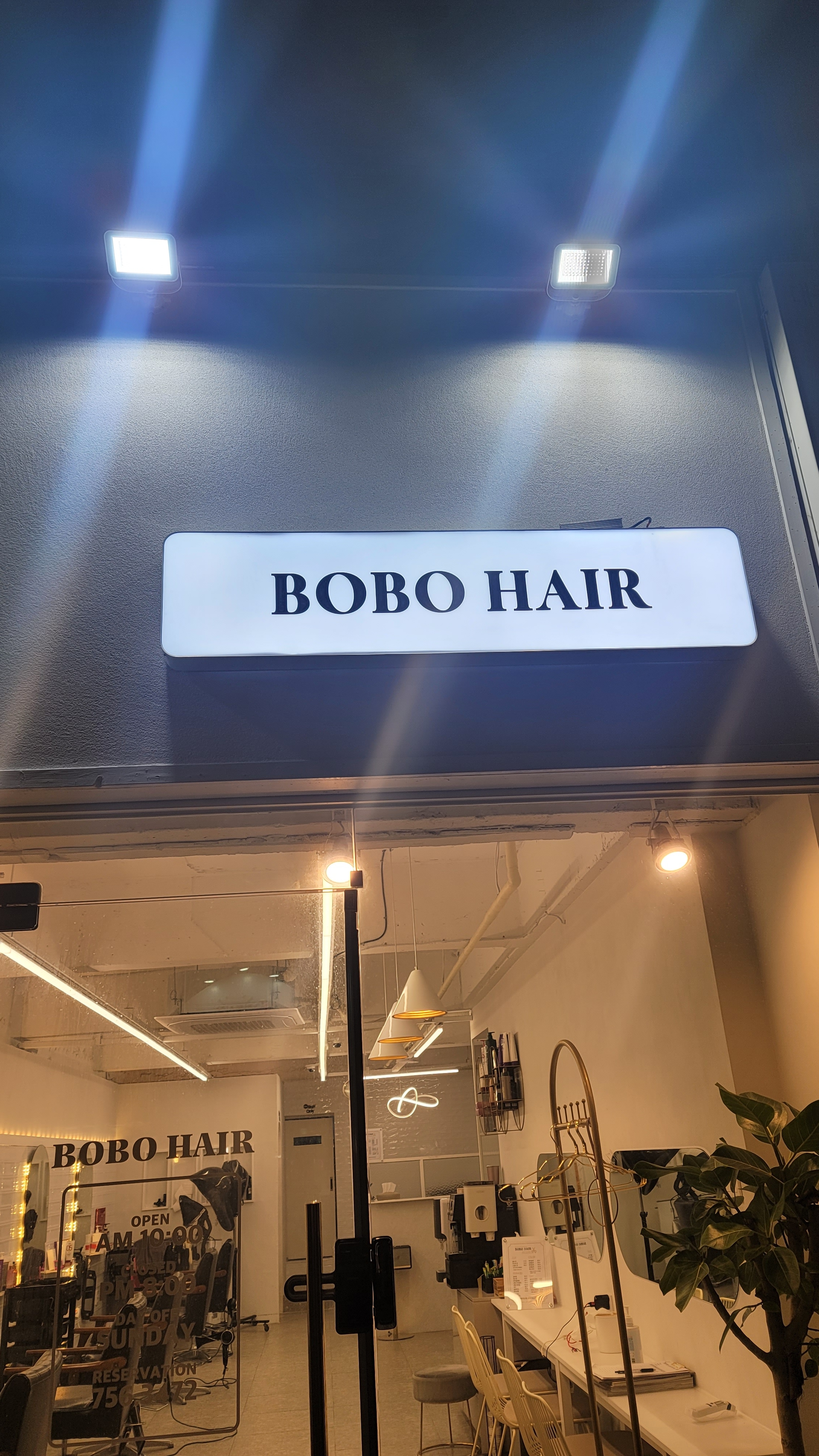보보헤어