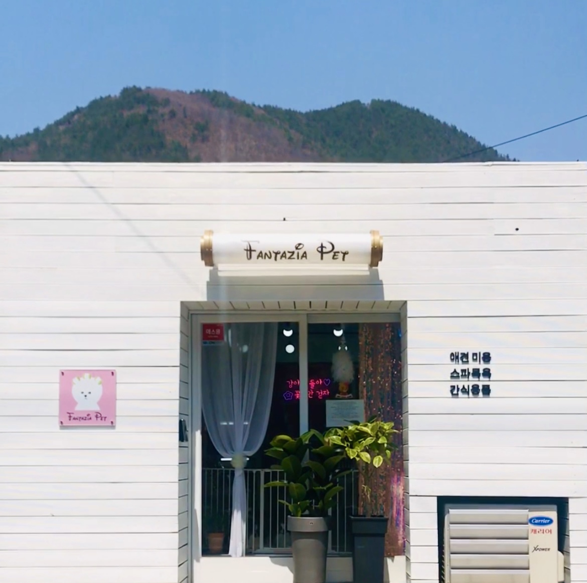 판타지아펫