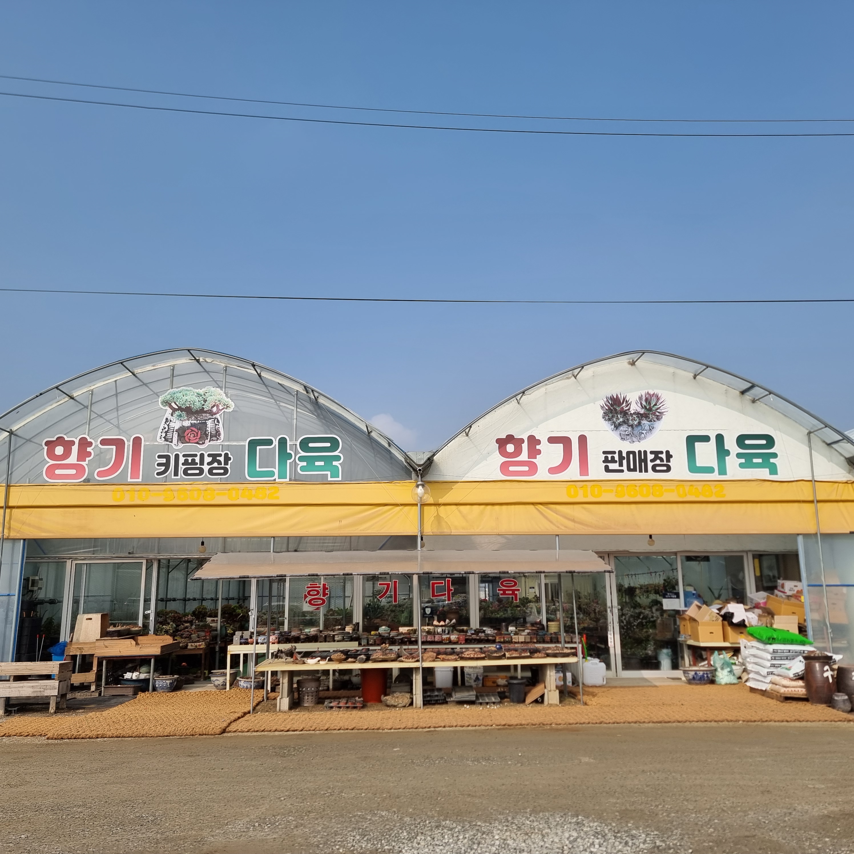 향기다육농원