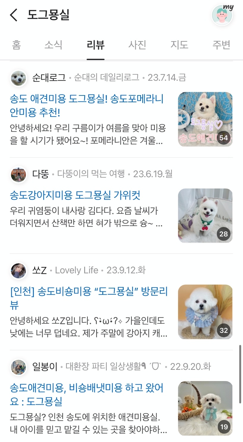 리즈퍼피 대표 이미지