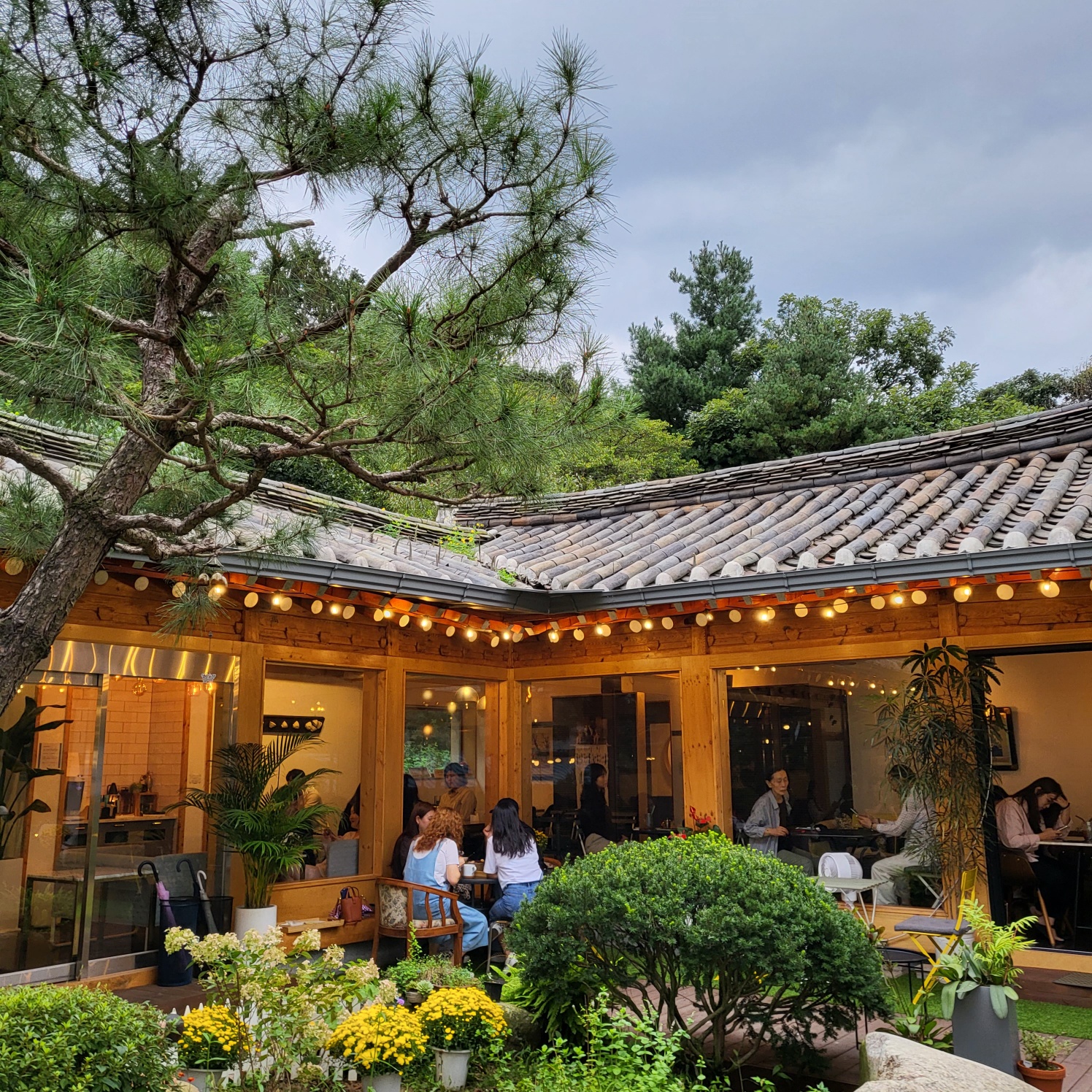 카페동구릉 설명사진