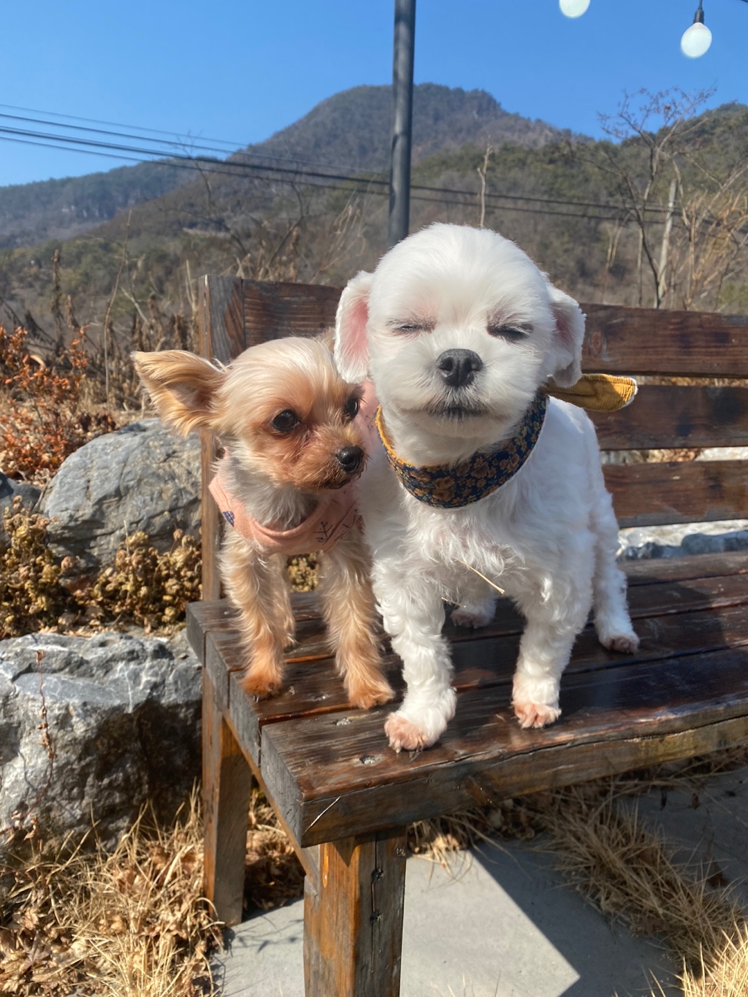 산들카페 대표 이미지