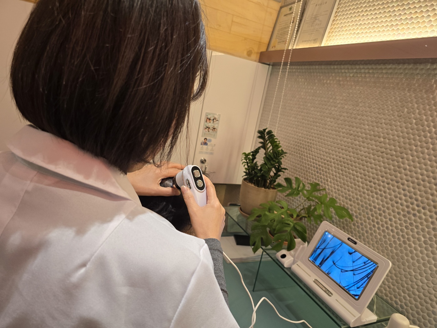 두피킹 시지점 대표 이미지