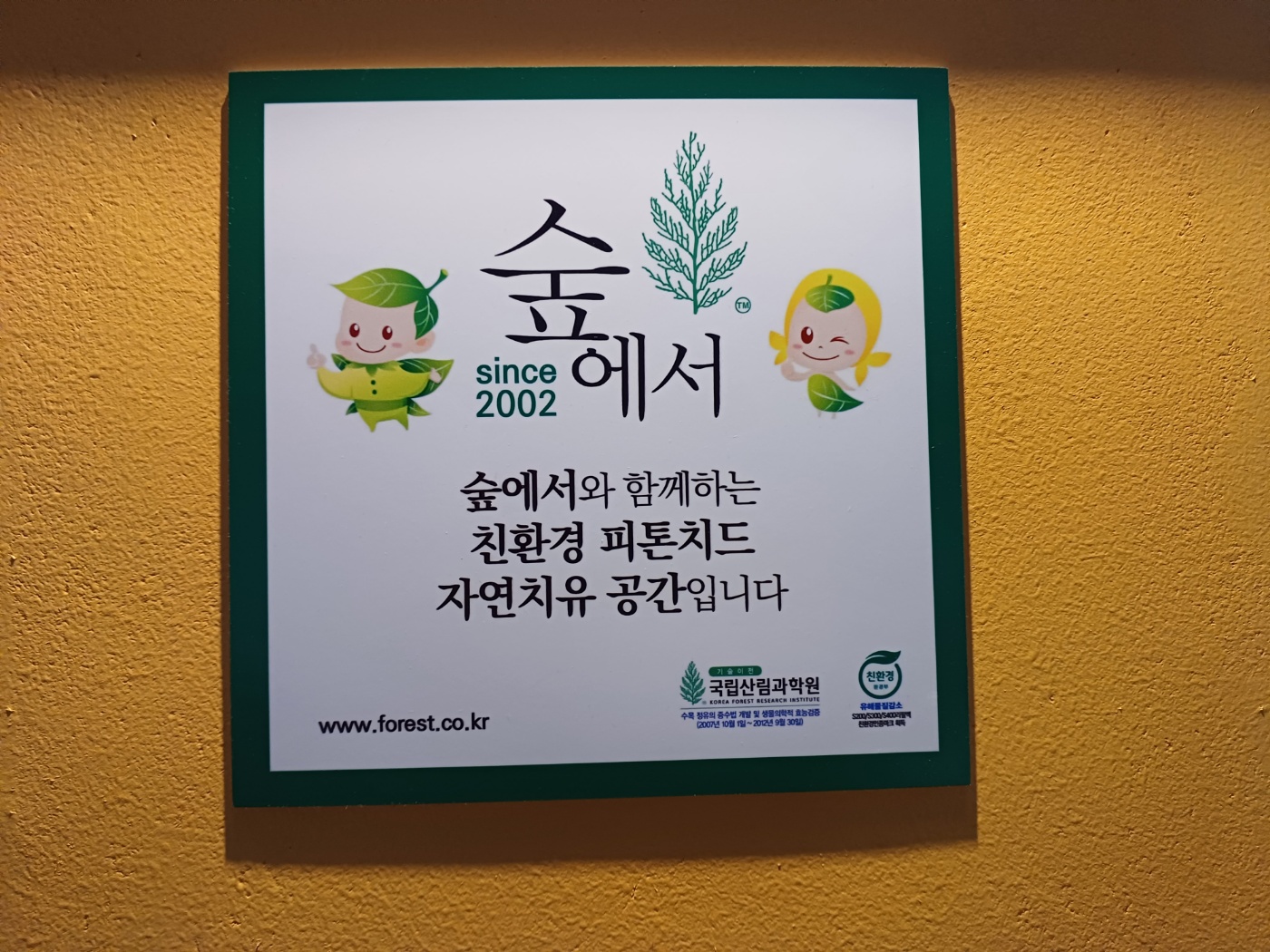 업체사진