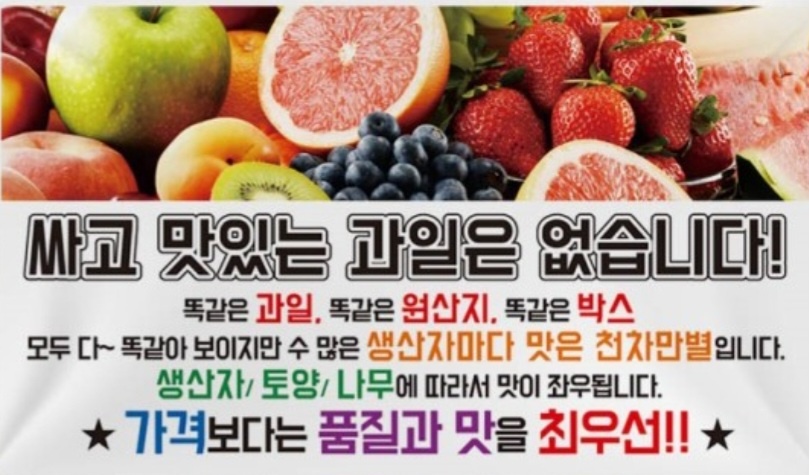 싱싱 포도원