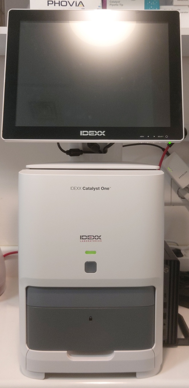 쿨펫동물병원 대표 이미지