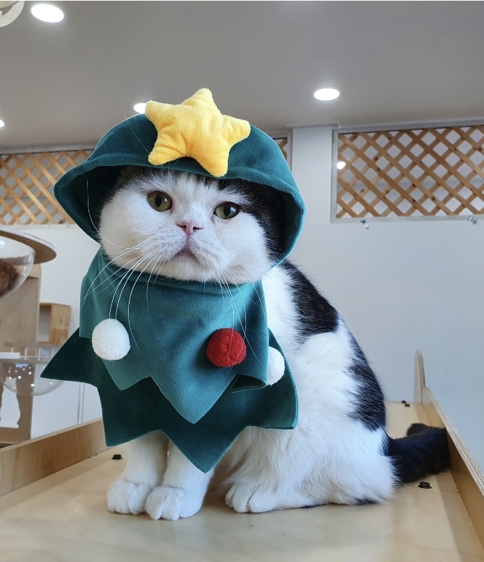 냥떼목장