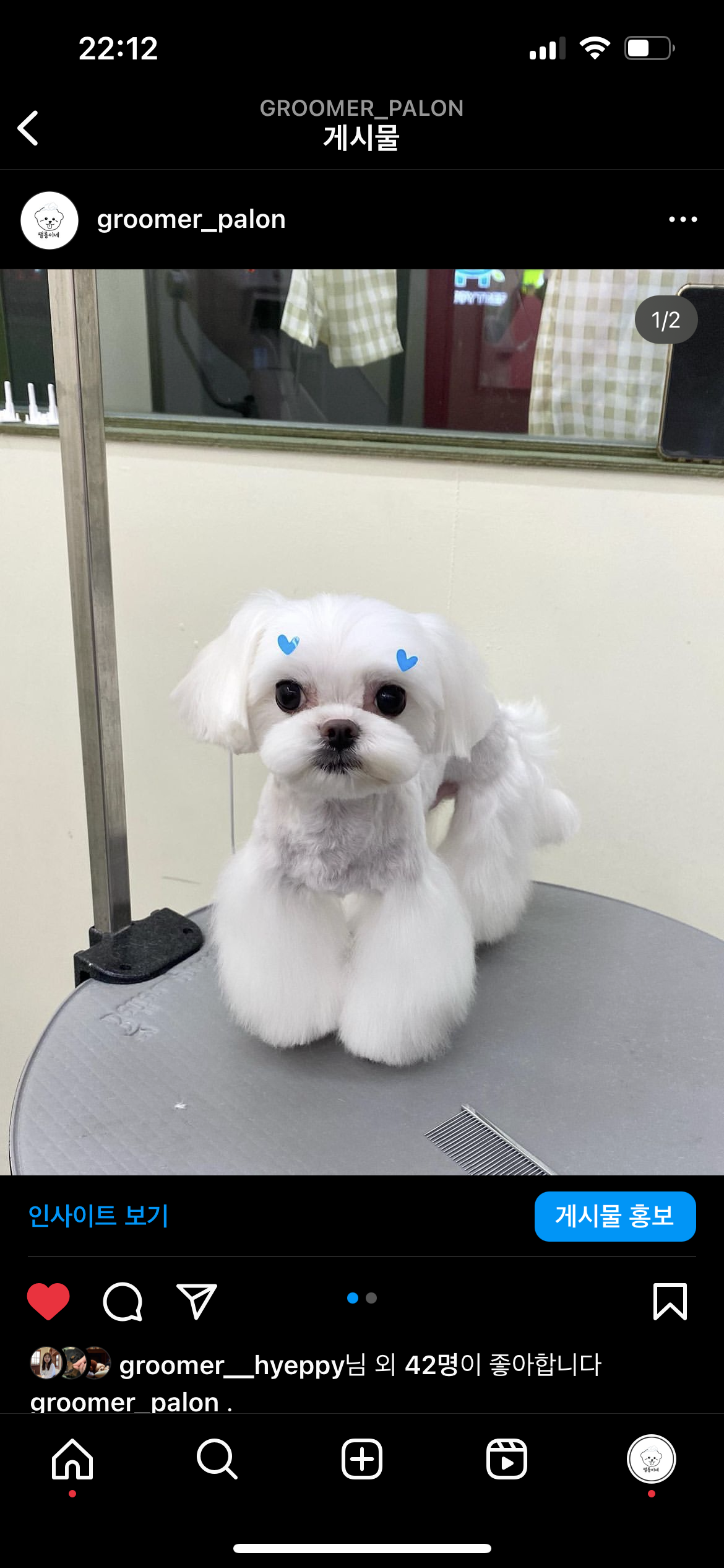 팰롱이네 대표 이미지