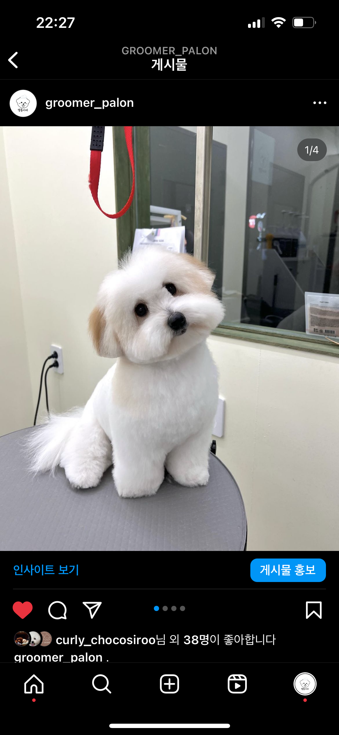 팰롱이네 대표 이미지